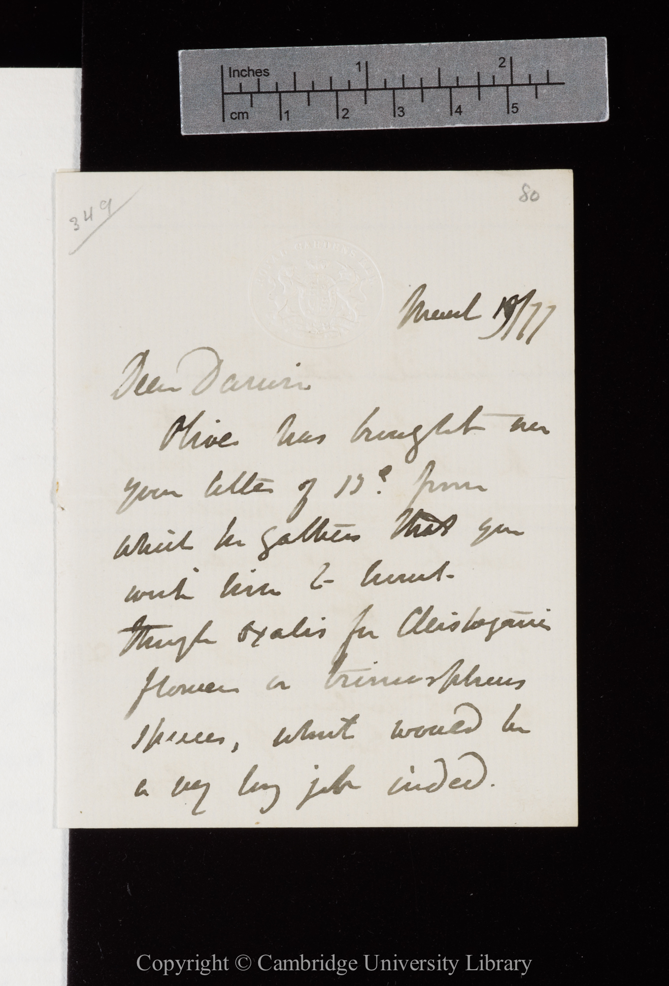 Letter from J. D. Hooker to C. R. Darwin   19 March 1877