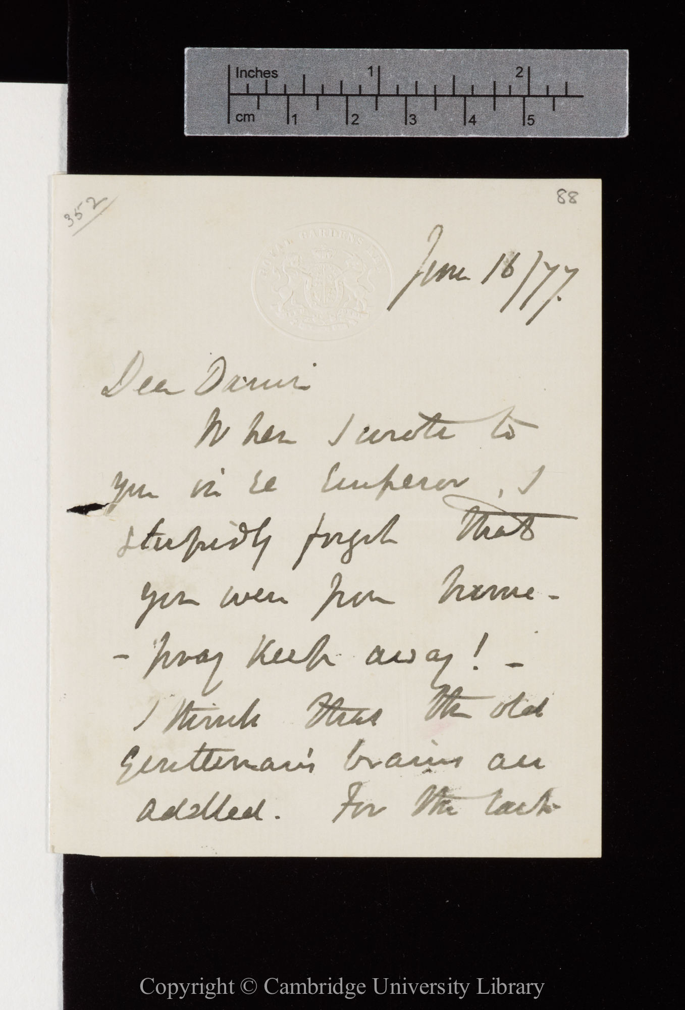 Letter from J. D. Hooker to C. R. Darwin   16 June 1877
