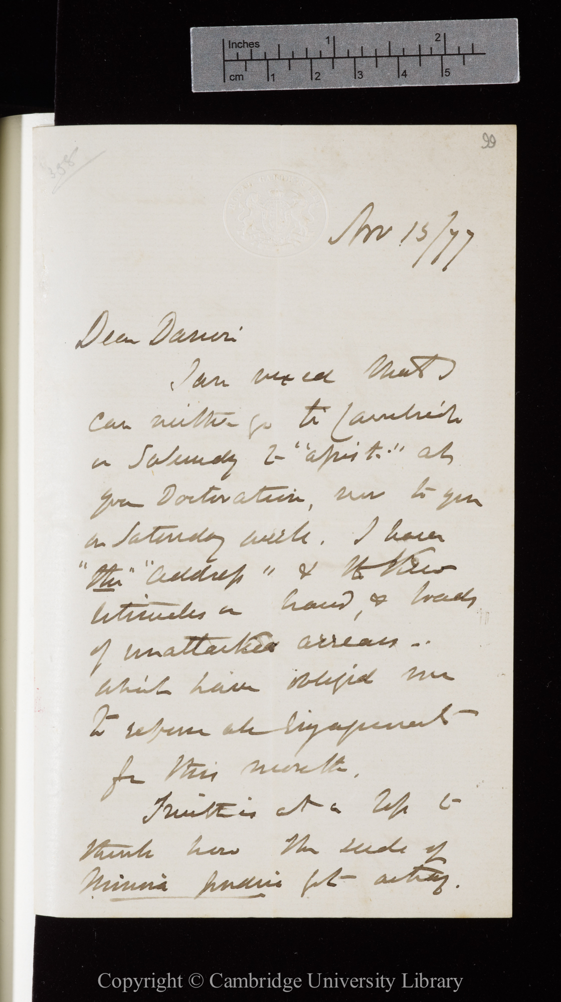 Letter from J. D. Hooker to C. R. Darwin   13 November 1877