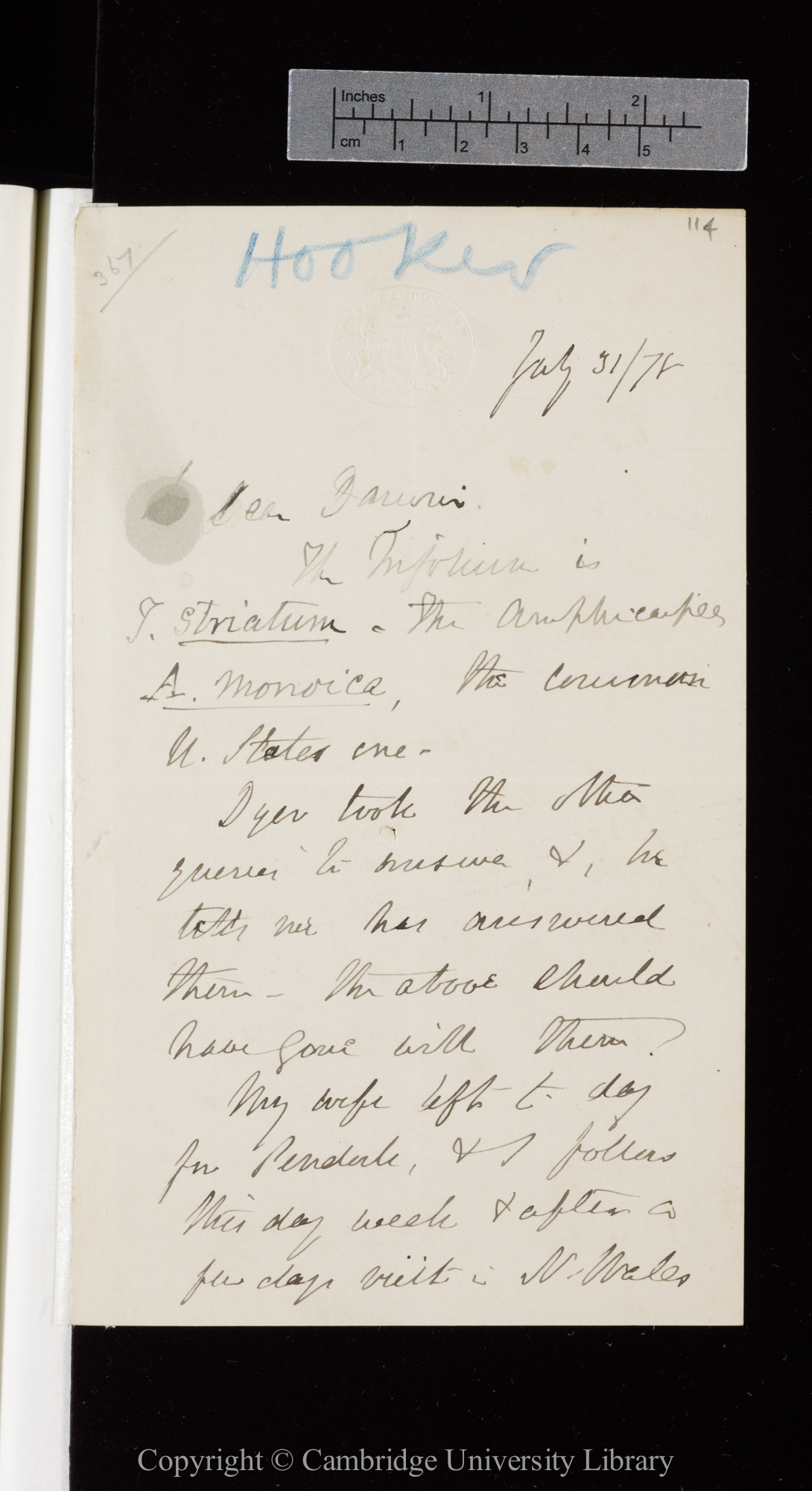Letter from J. D. Hooker to C. R. Darwin   31 July 1878
