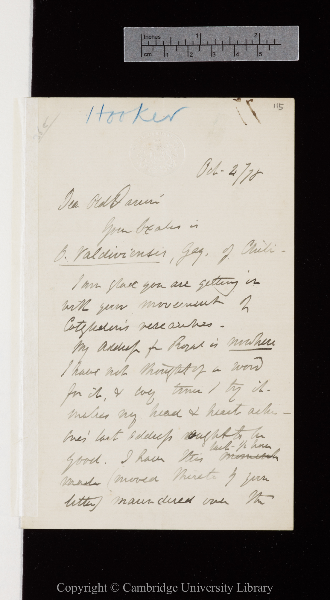 Letter from J. D. Hooker to C. R. Darwin   4 October 1878