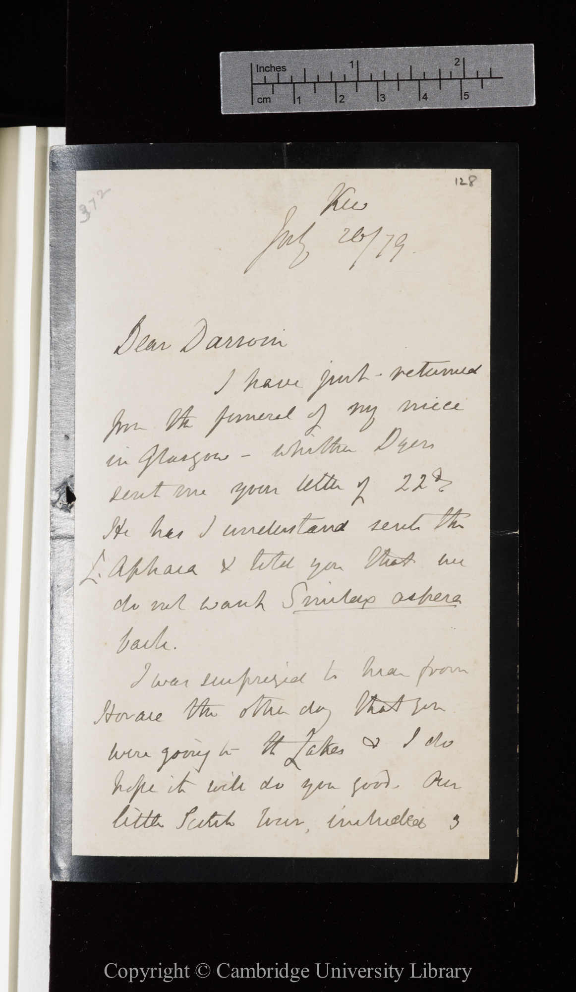 Letter from J. D. Hooker to C. R. Darwin   26 July 1879