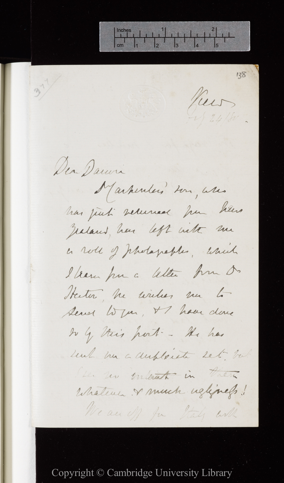 Letter from J. D. Hooker to C. R. Darwin   24 February [1881]