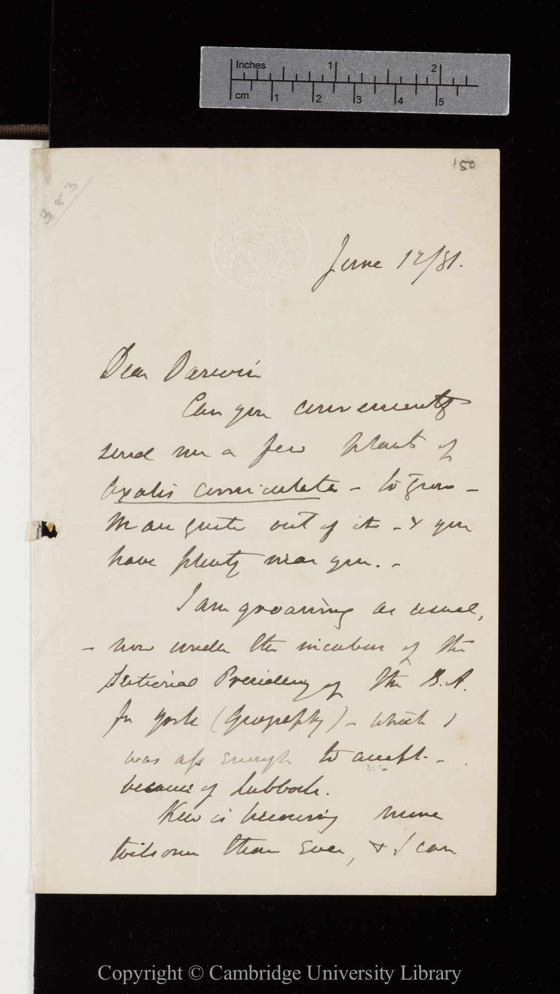 Letter from J. D. Hooker to C. R. Darwin   12 June 1881