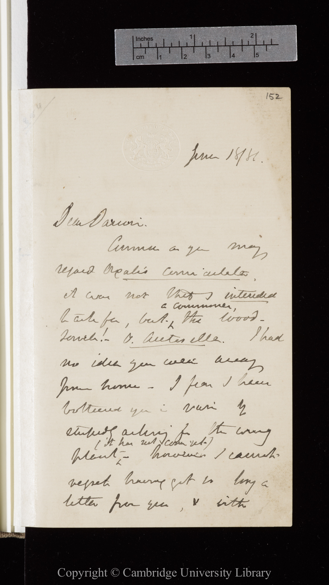 Letter from J. D. Hooker to C. R. Darwin   18 June 1881