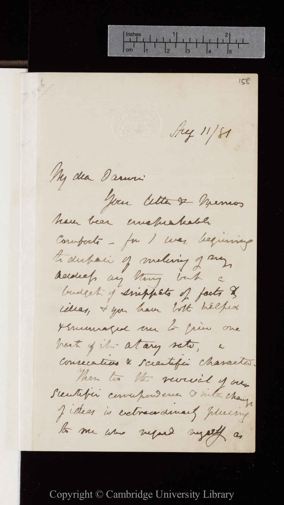 Letter from J. D. Hooker to C. R. Darwin   11 August 1881