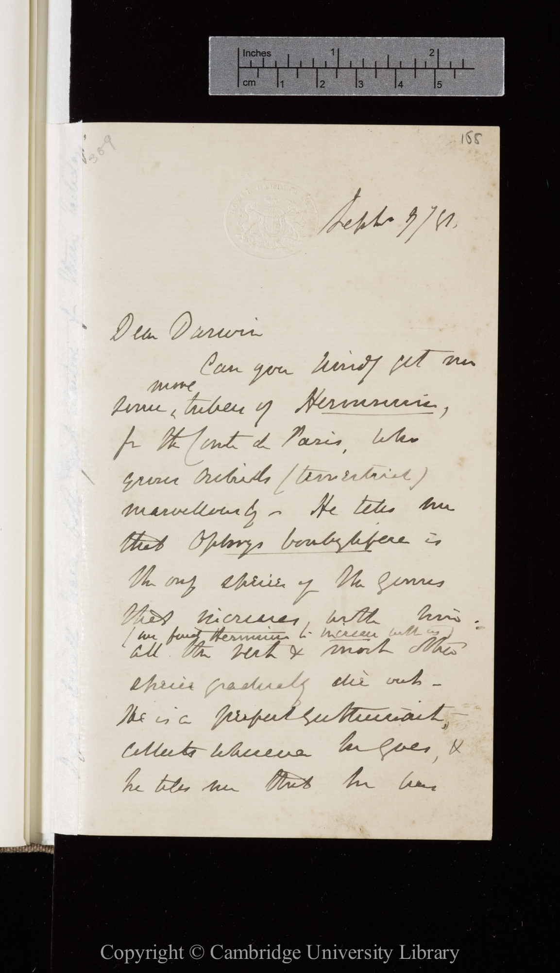 Letter from J. D. Hooker to C. R. Darwin   7 September 1881