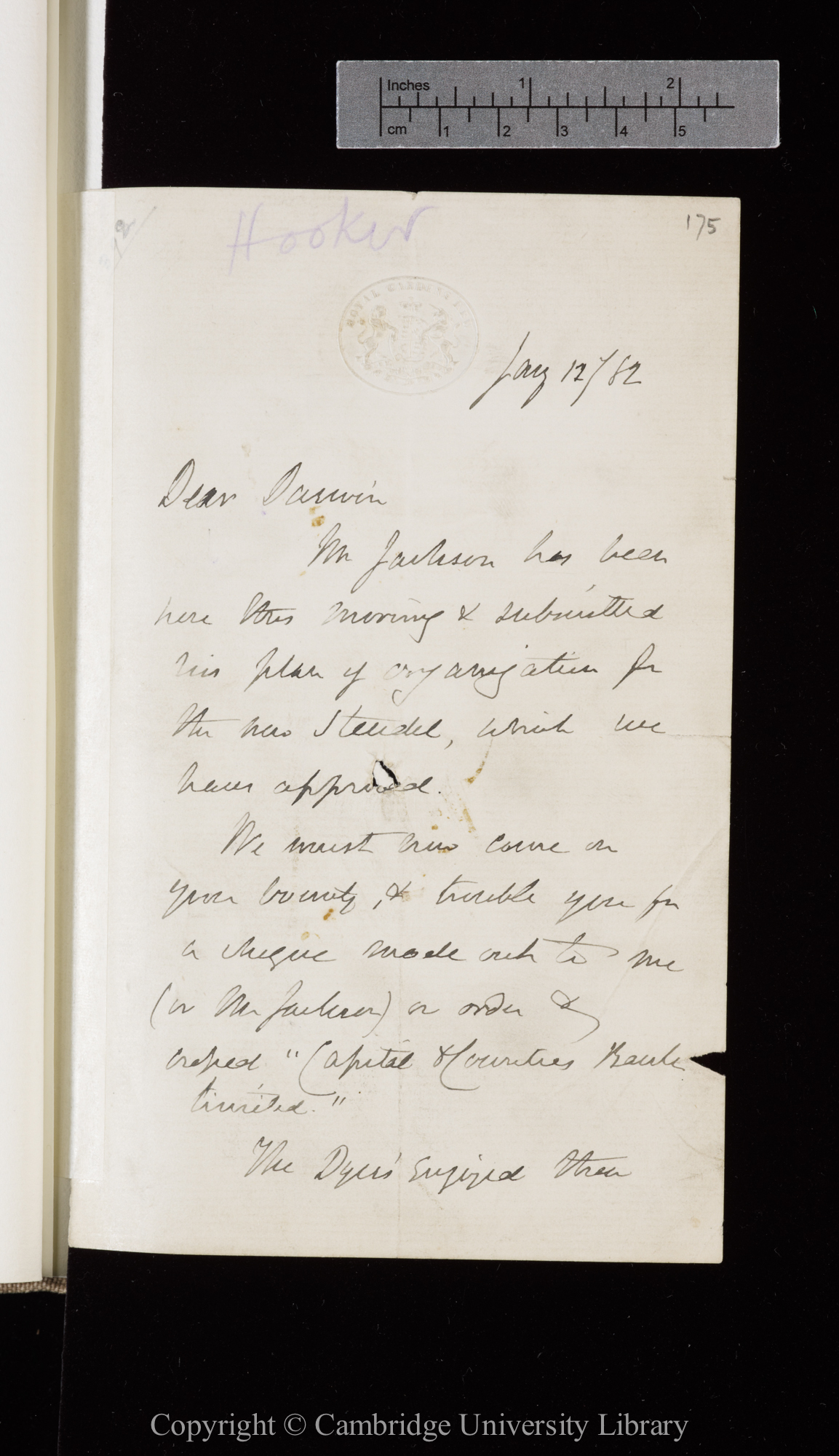 Letter from J. D. Hooker to C. R. Darwin   12 January 1882