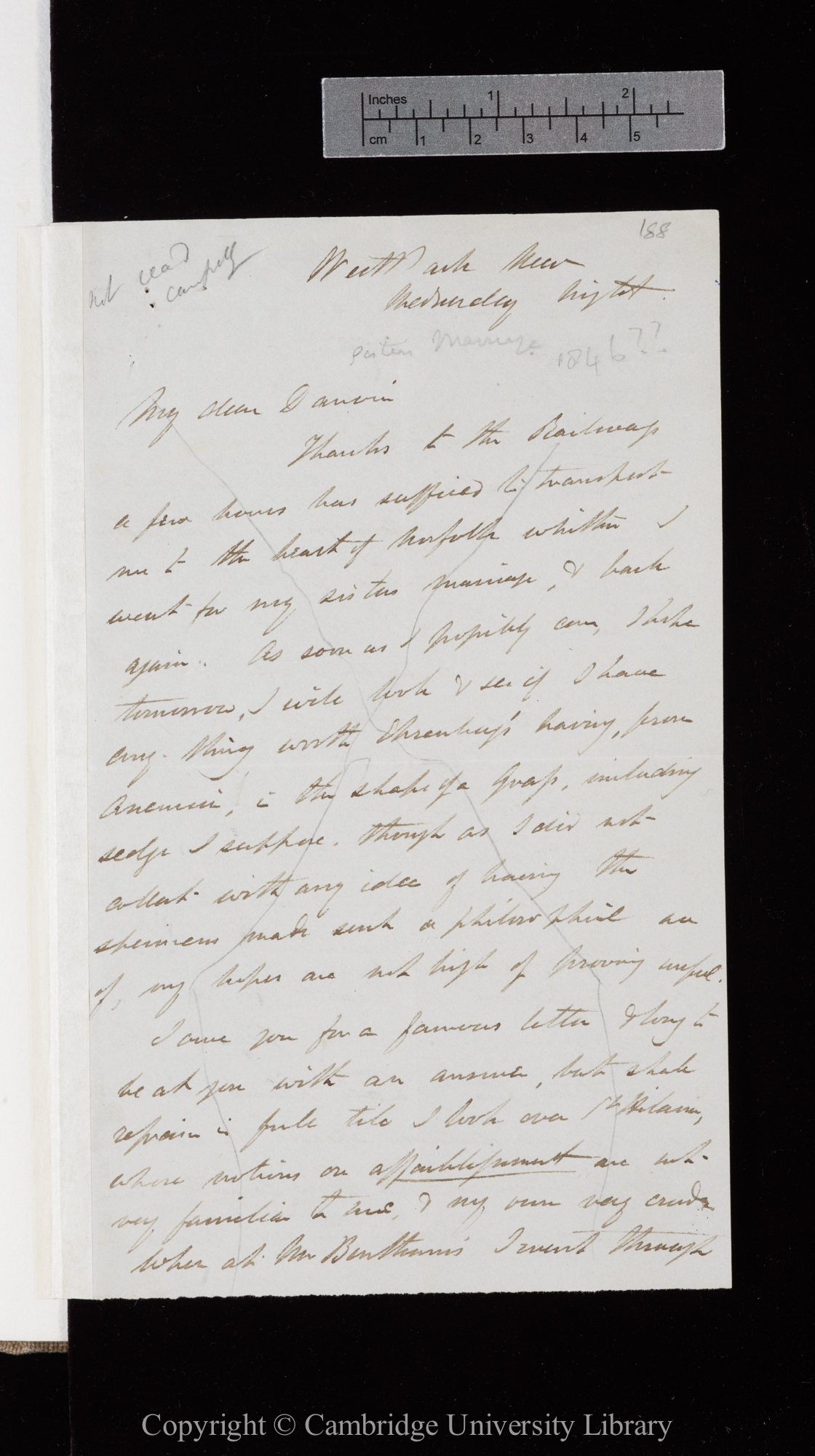Letter from J. D. Hooker to C. R. Darwin   [25 March 1846]