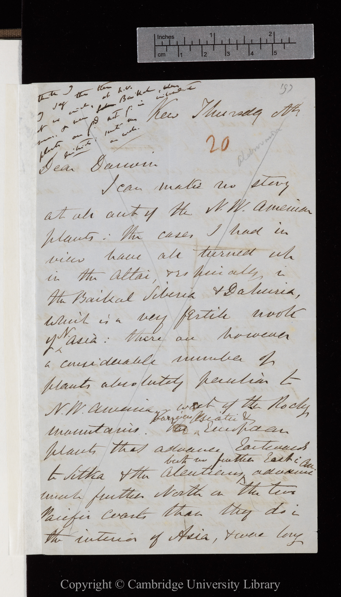 Letter from J. D. Hooker to C. R. Darwin   [26 June or 3 July 1856]