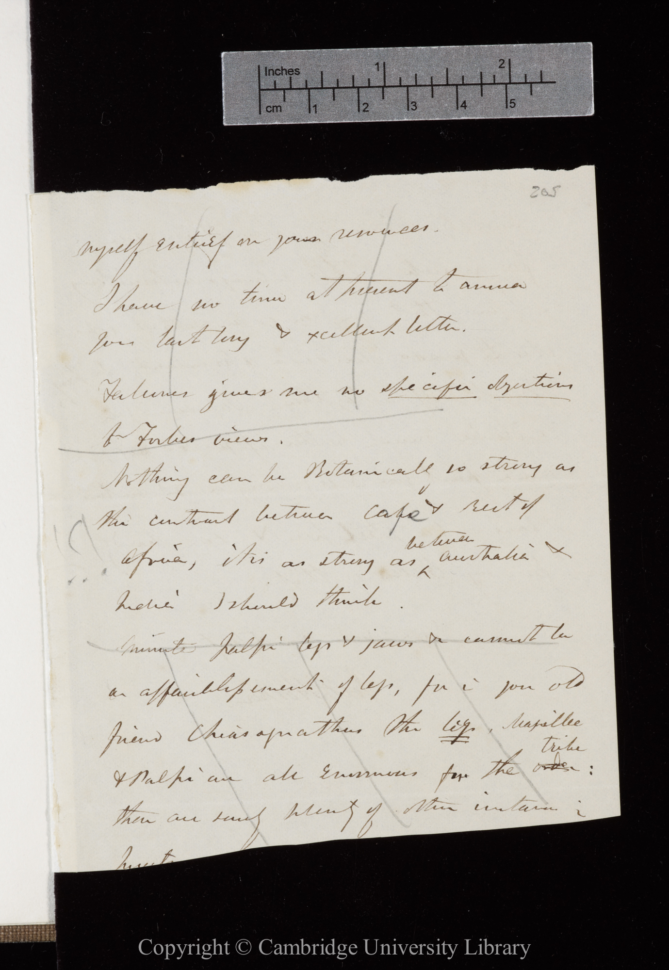 Letter from J. D. Hooker to C. R. Darwin   [11-15 April 1846]