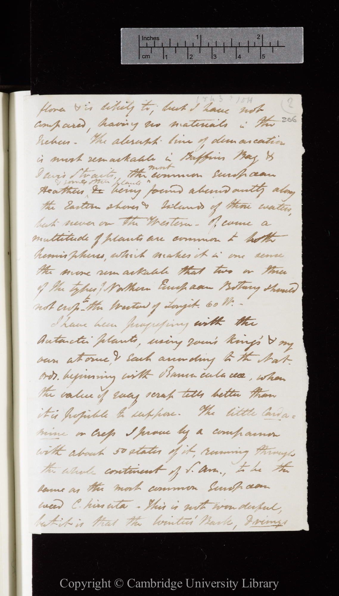 Letter from J. D. Hooker to C. R. Darwin   [12 December 1843 - 11 January 1844]
