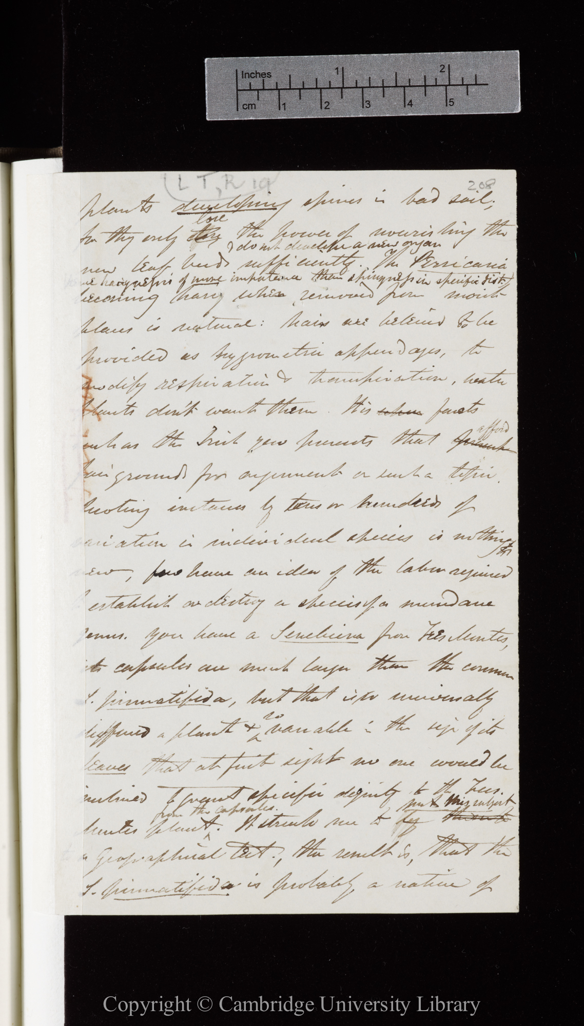 Letter from J. D. Hooker to C. R. Darwin   [4-9 September 1845]
