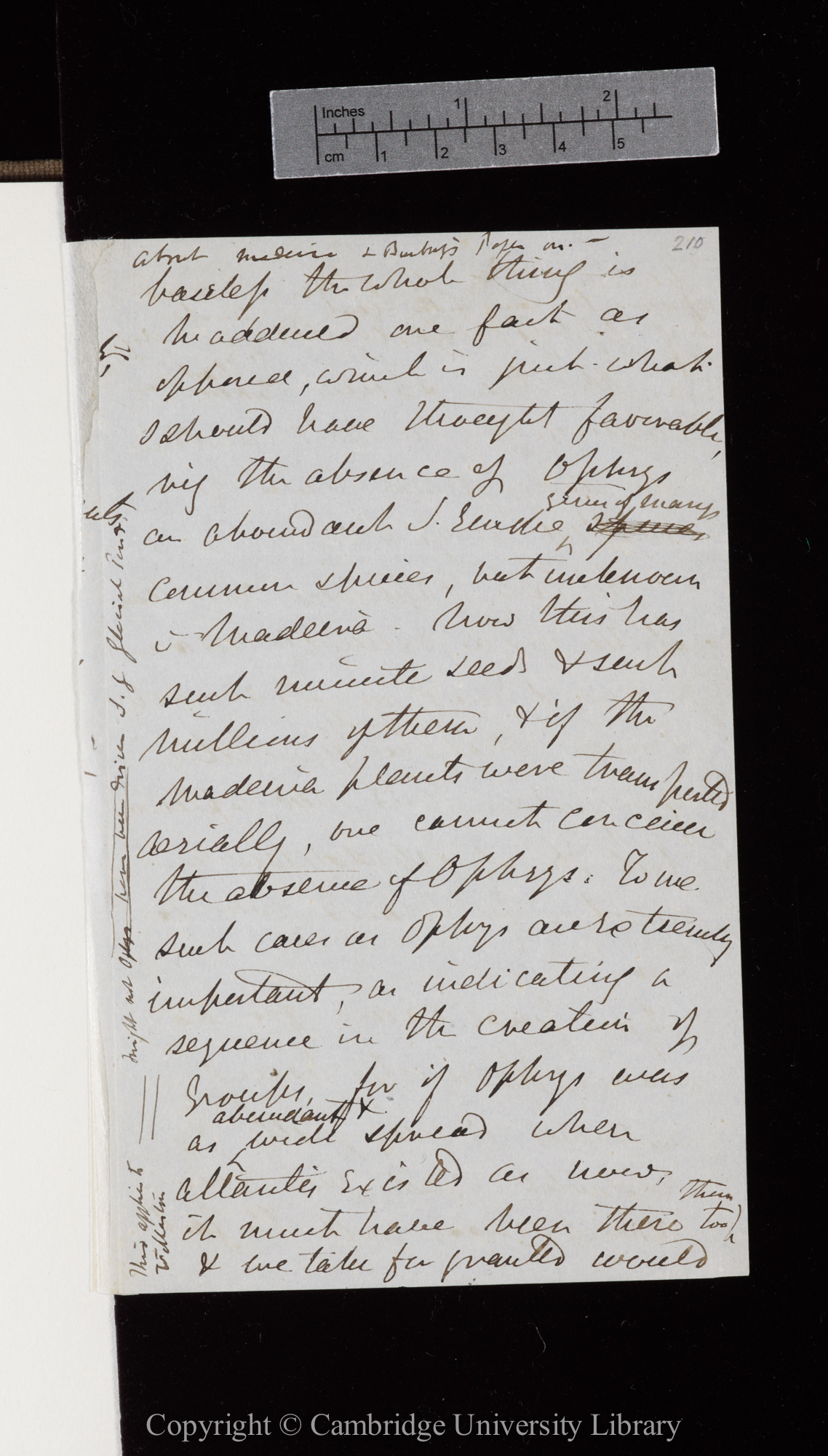Letter from J. D. Hooker to C. R. Darwin   [before 17 March 1855]