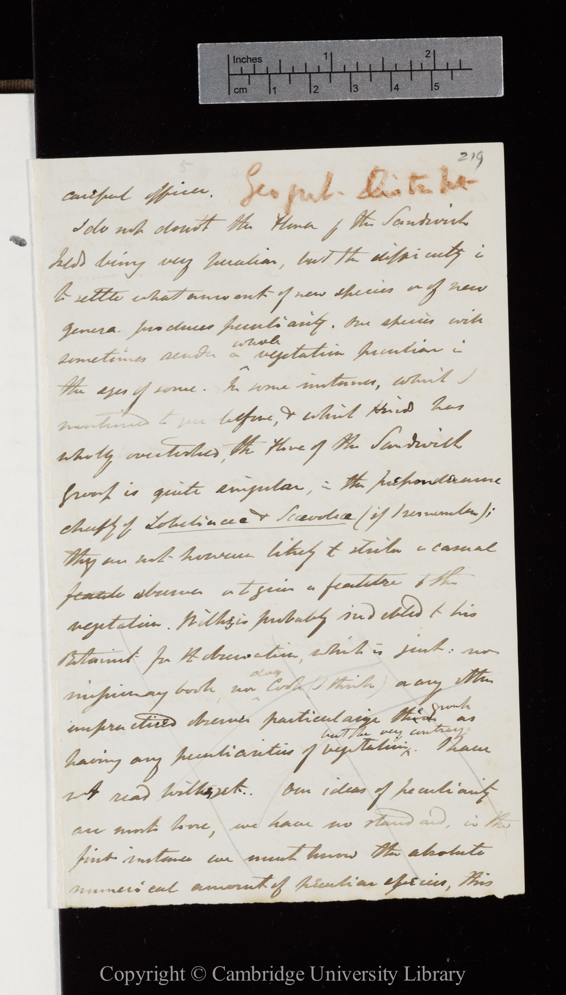 Letter from J. D. Hooker to C. R. Darwin   [2-6 April 1845]