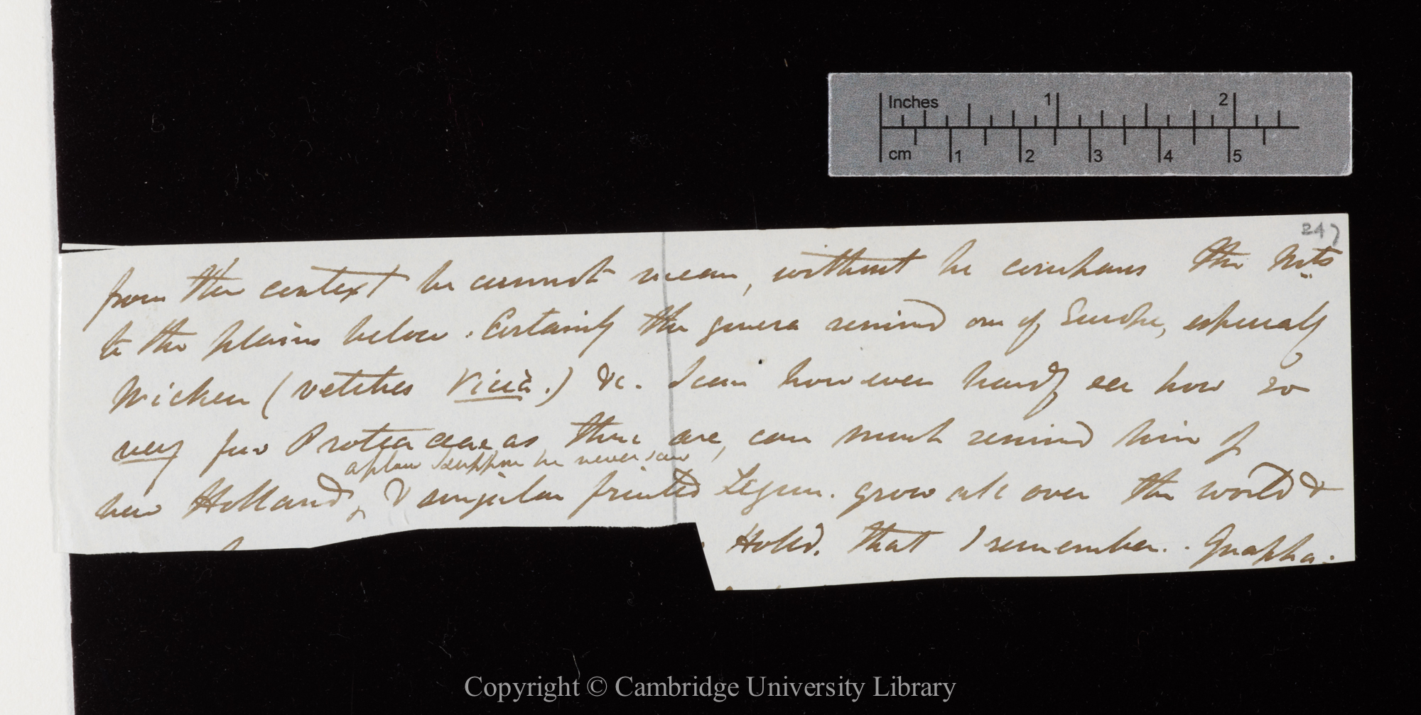 Letter from J. D. Hooker to C. R. Darwin   [22-30 January 1845]
