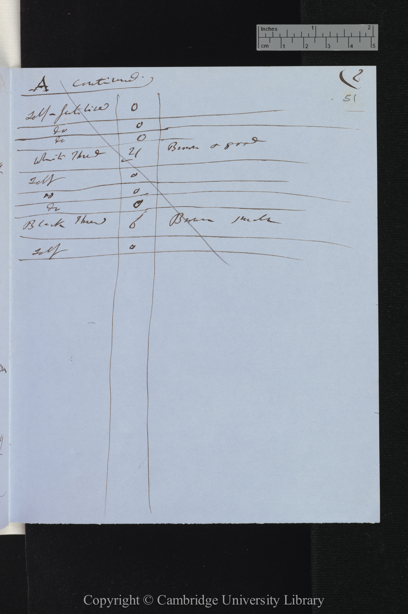 Chinese Primrose [tables of observations on colour and size of seeds, conclusions]