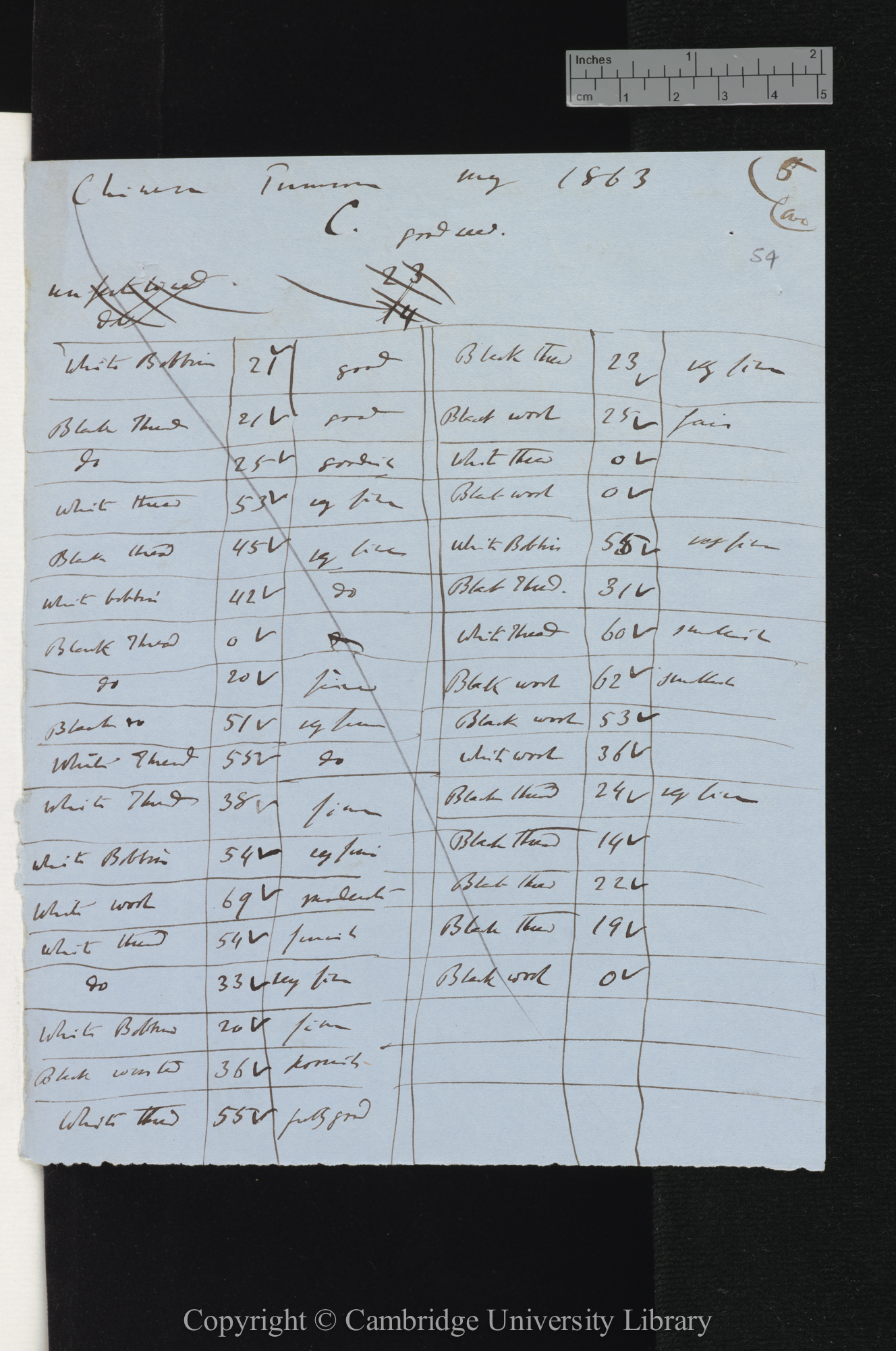 Chinese Primrose / good seed [table of observations on seed quality and number]