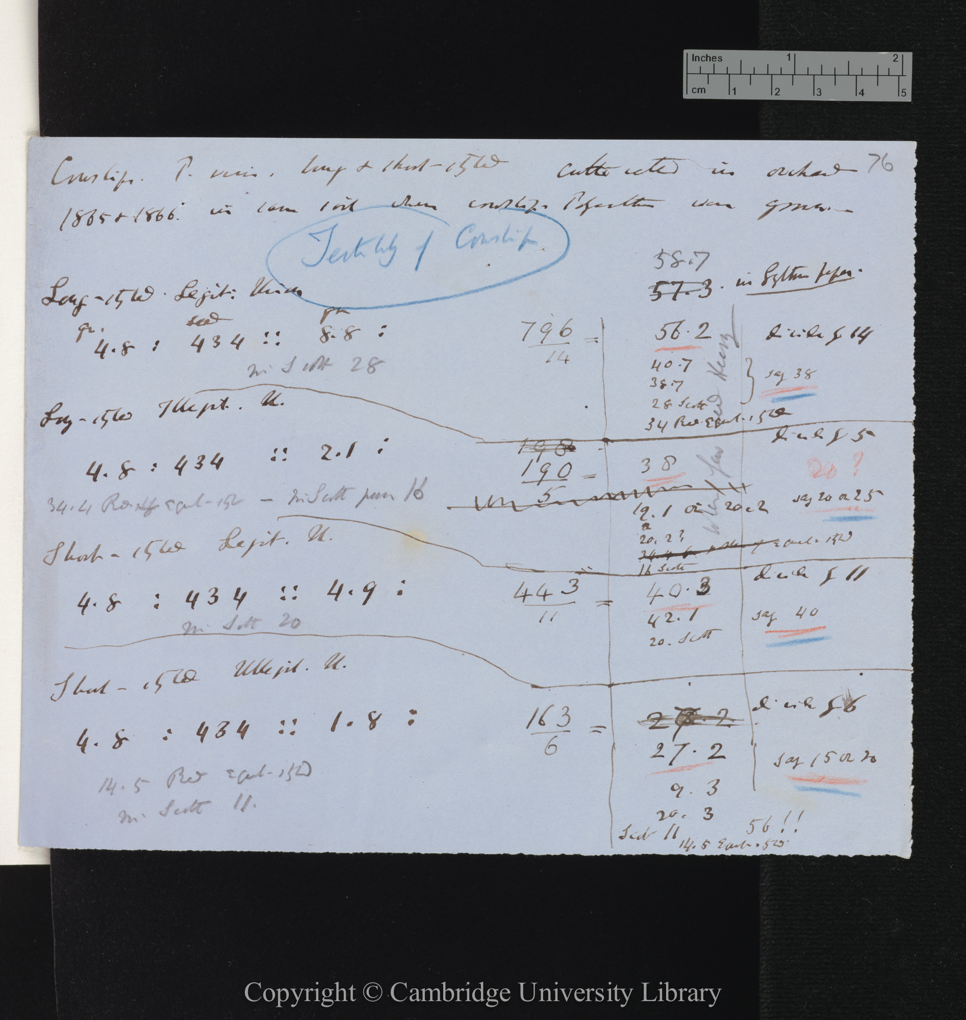 Fertility of Cowslip / Cowslip P[rimula] veris long &amp; short-styled [tables of results obtained in 1865-1866]