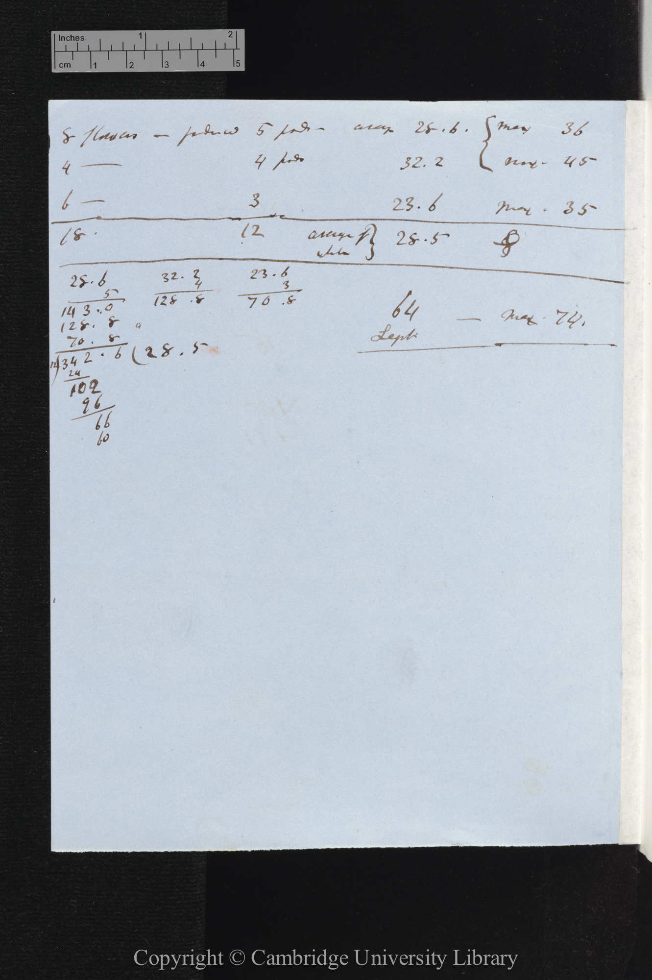 [Weight and number of seeds  table and conclusions]