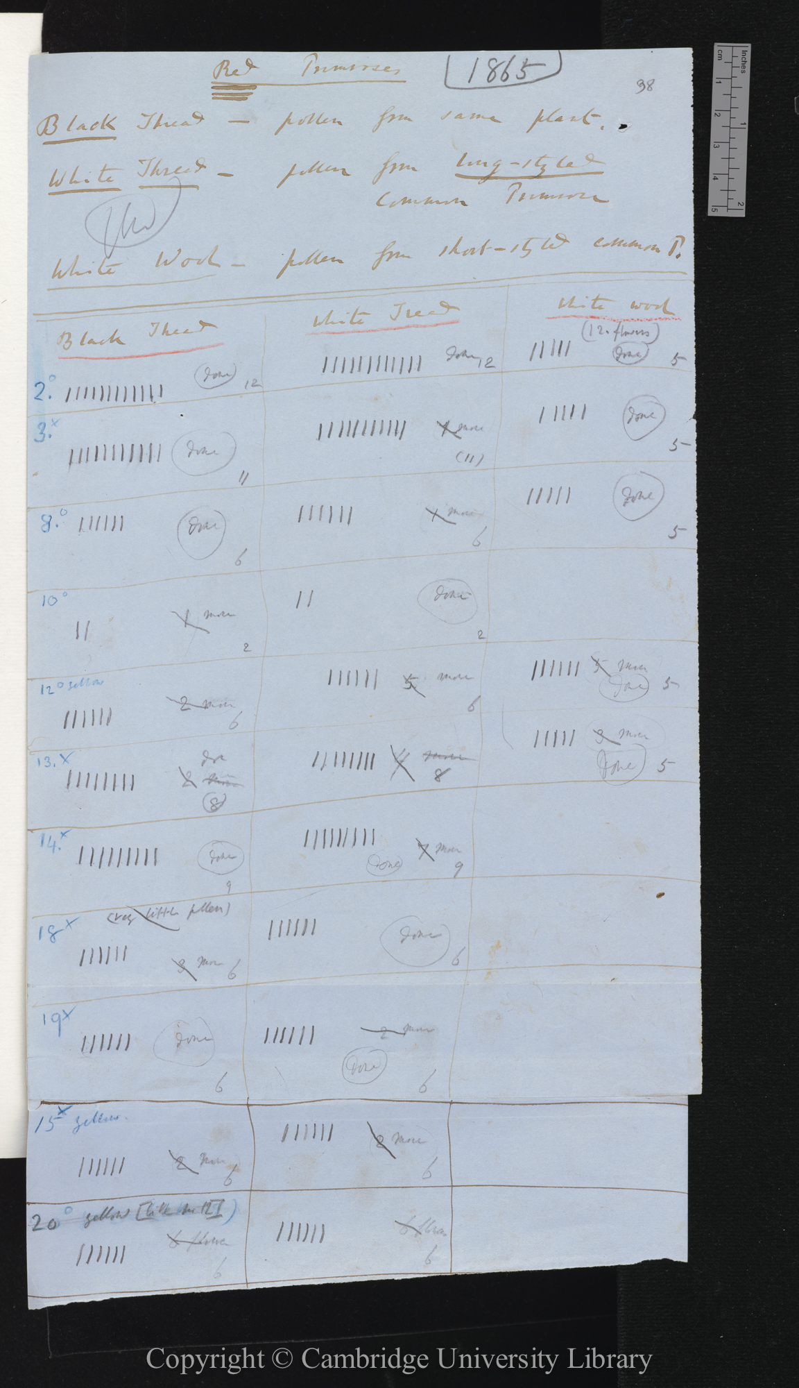 Seeding Red Long-styled Primroses from J Scott [tables comparing numbers of seeds set by different crosses]