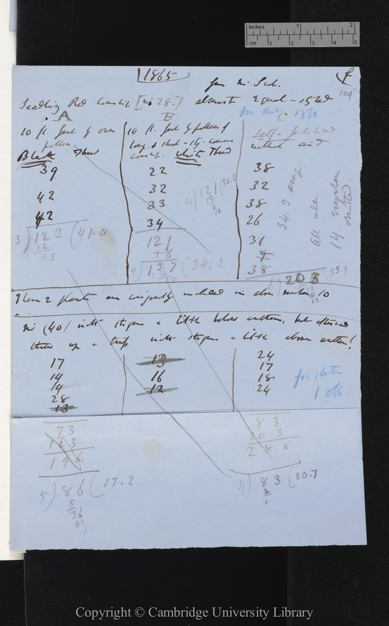 Seedling Red Cowslip (no 28) from Mr Scott almost equal-styled [tables comparing numbers of seeds set by different crosses]