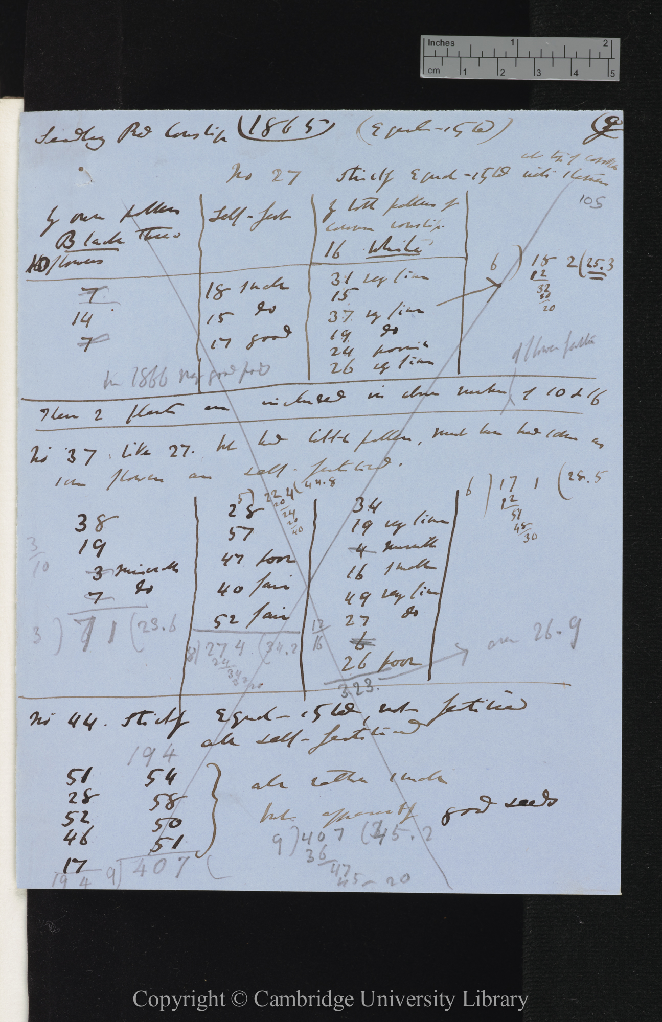 Seedling Red Cowslip (no 28) from Mr Scott almost equal-styled [tables comparing numbers of seeds set by different crosses]