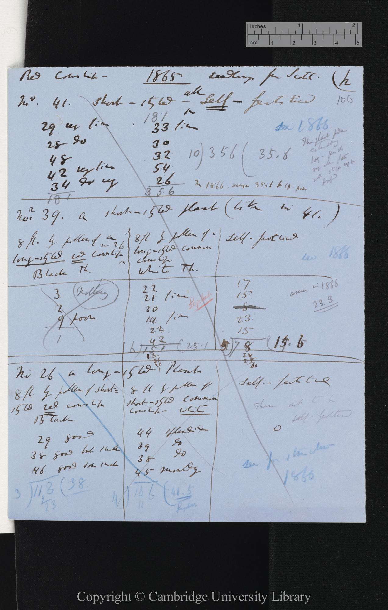 Seedling Red Cowslip (no 28) from Mr Scott almost equal-styled [tables comparing numbers of seeds set by different crosses]