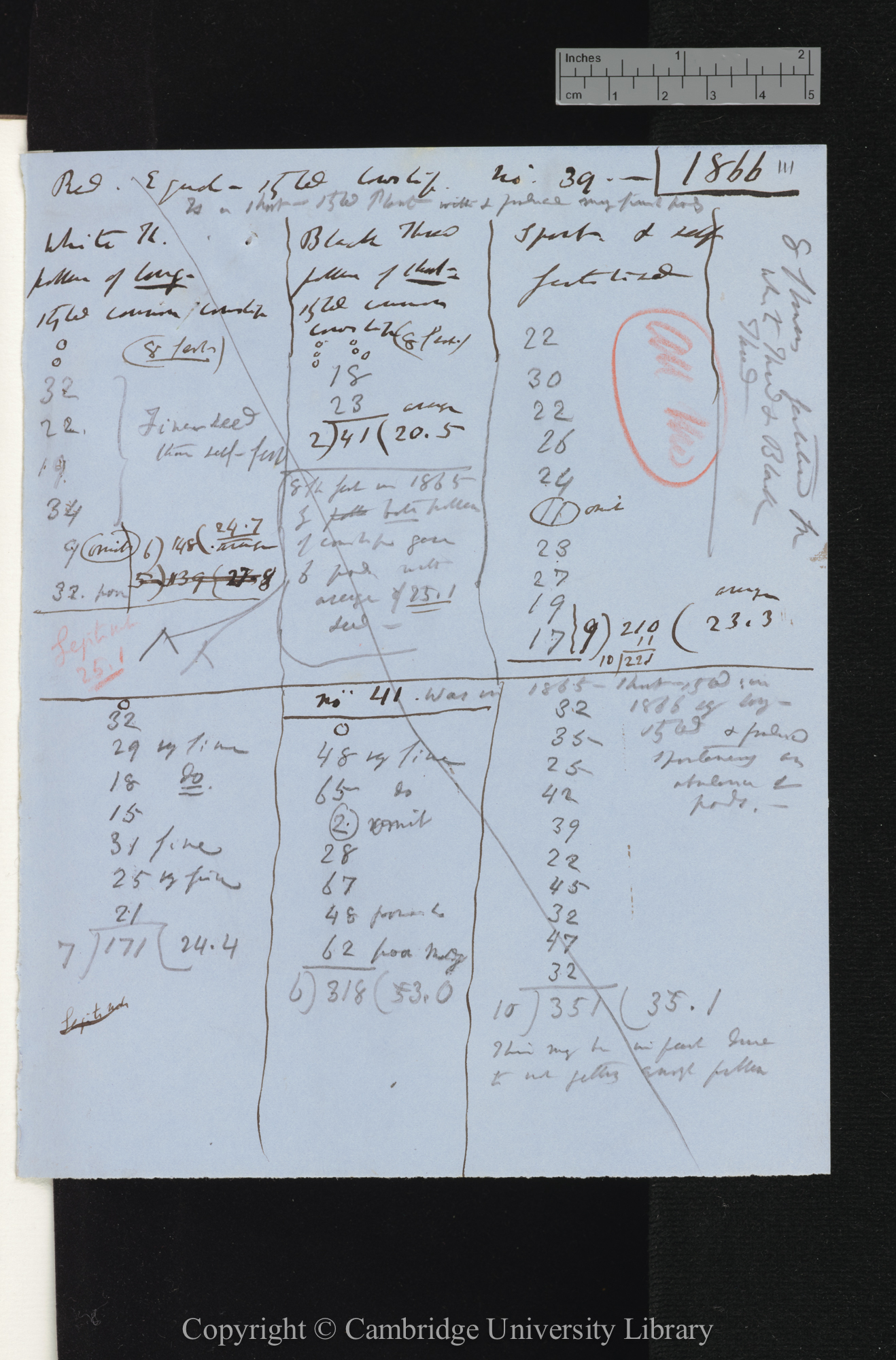 Red Equal-styled cowslip no 39 [tables comparing numbers of seeds set by different crosses]