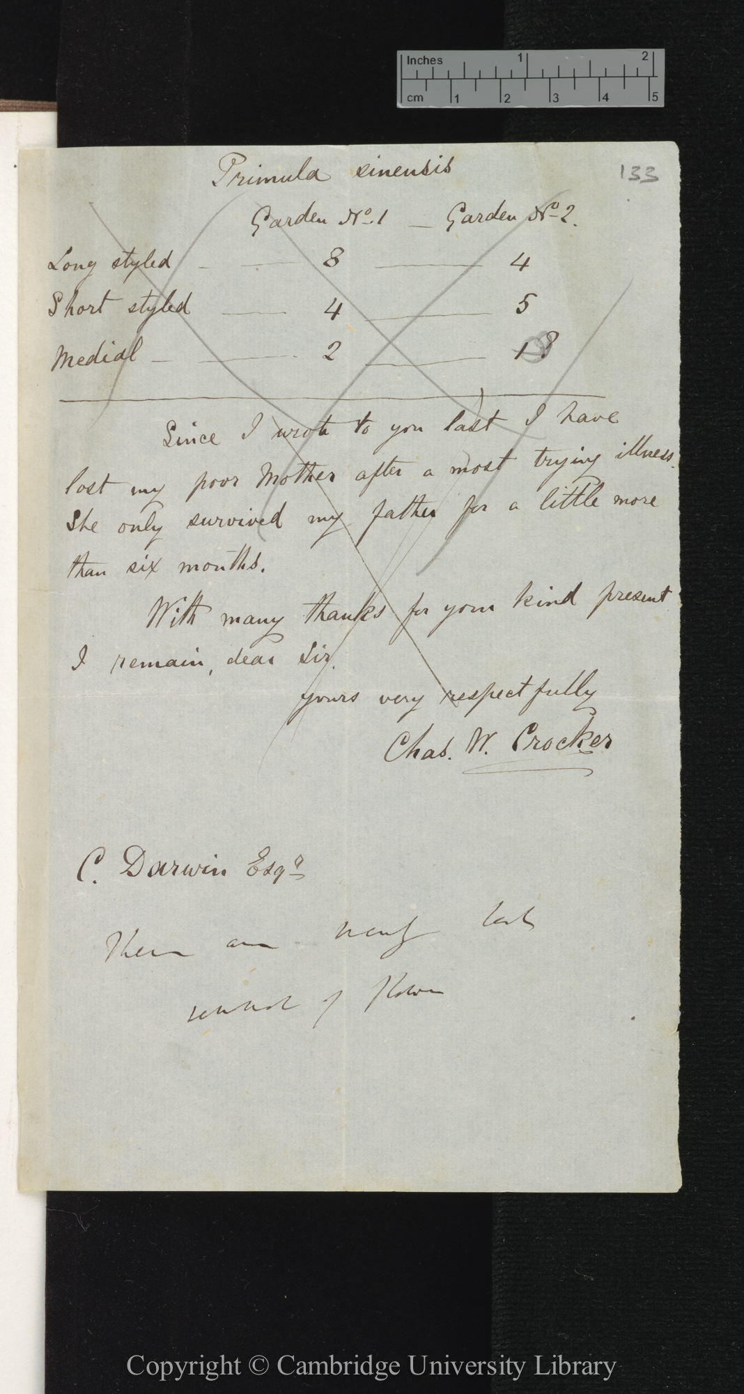 Letter from Charles William Crocker to Charles Robert Darwin; written at Chichester; damaged