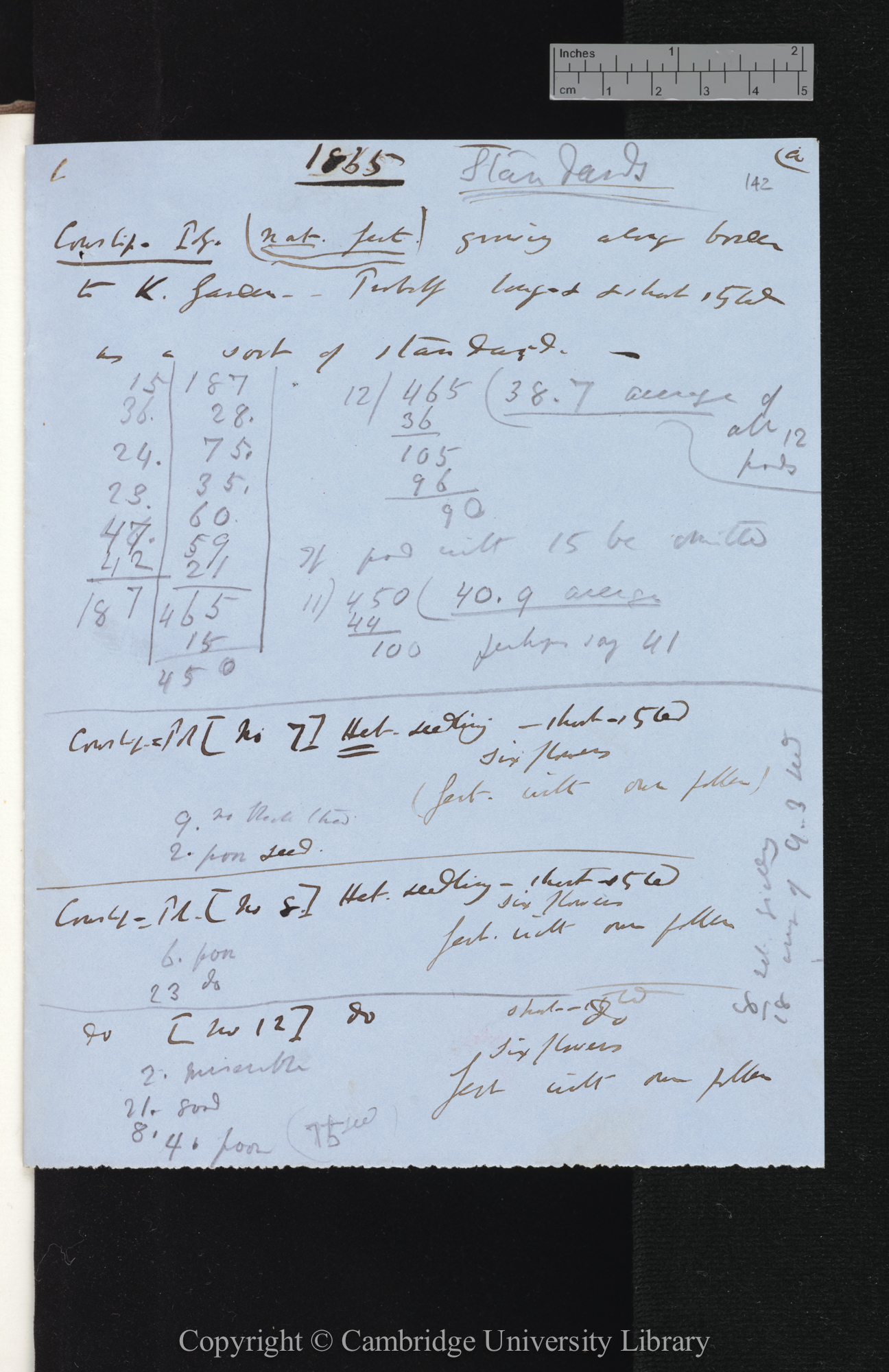 Standards / Cowslip-Poly[anthus] (nat fert) growing along border to K[itchen] Garden [with tables comparing numbers of seeds in diffeent crosses]