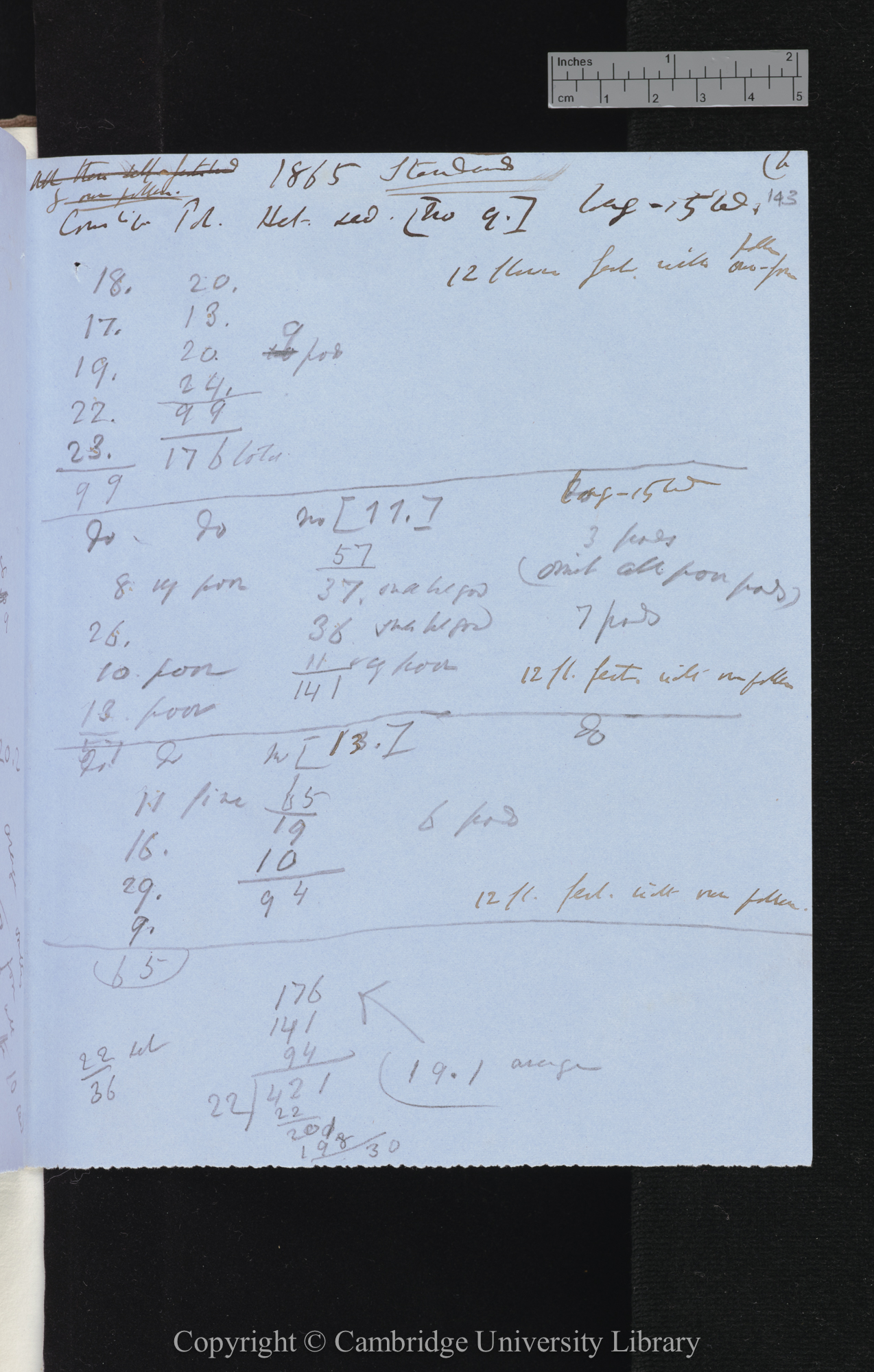 Standards / Cowslip-Poly[anthus] (nat fert) growing along border to K[itchen] Garden [with tables comparing numbers of seeds in diffeent crosses]