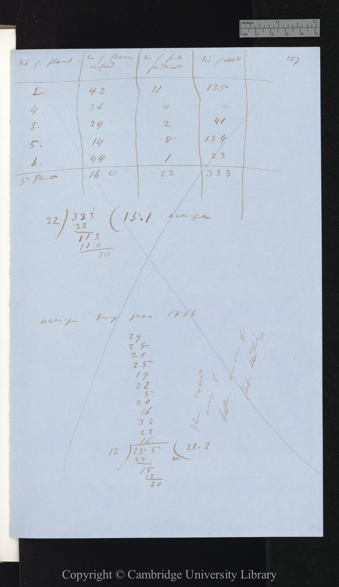 Conclusions 63, 64, 65 - Cowslip-Polyanthus [with tables concerning plants numbered 1, 4, 3, 5, 6]