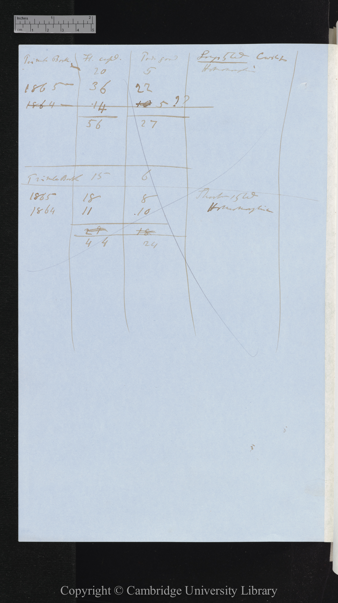 Conclusions 63, 64, 65 - Cowslip-Polyanthus [with tables concerning plants numbered 1, 4, 3, 5, 6]