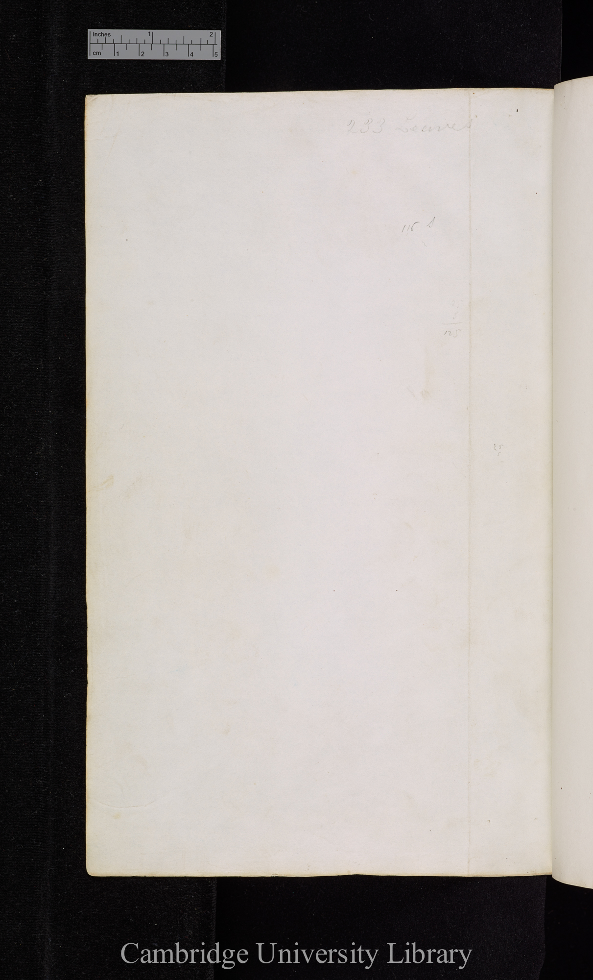 Ms p 231 verso