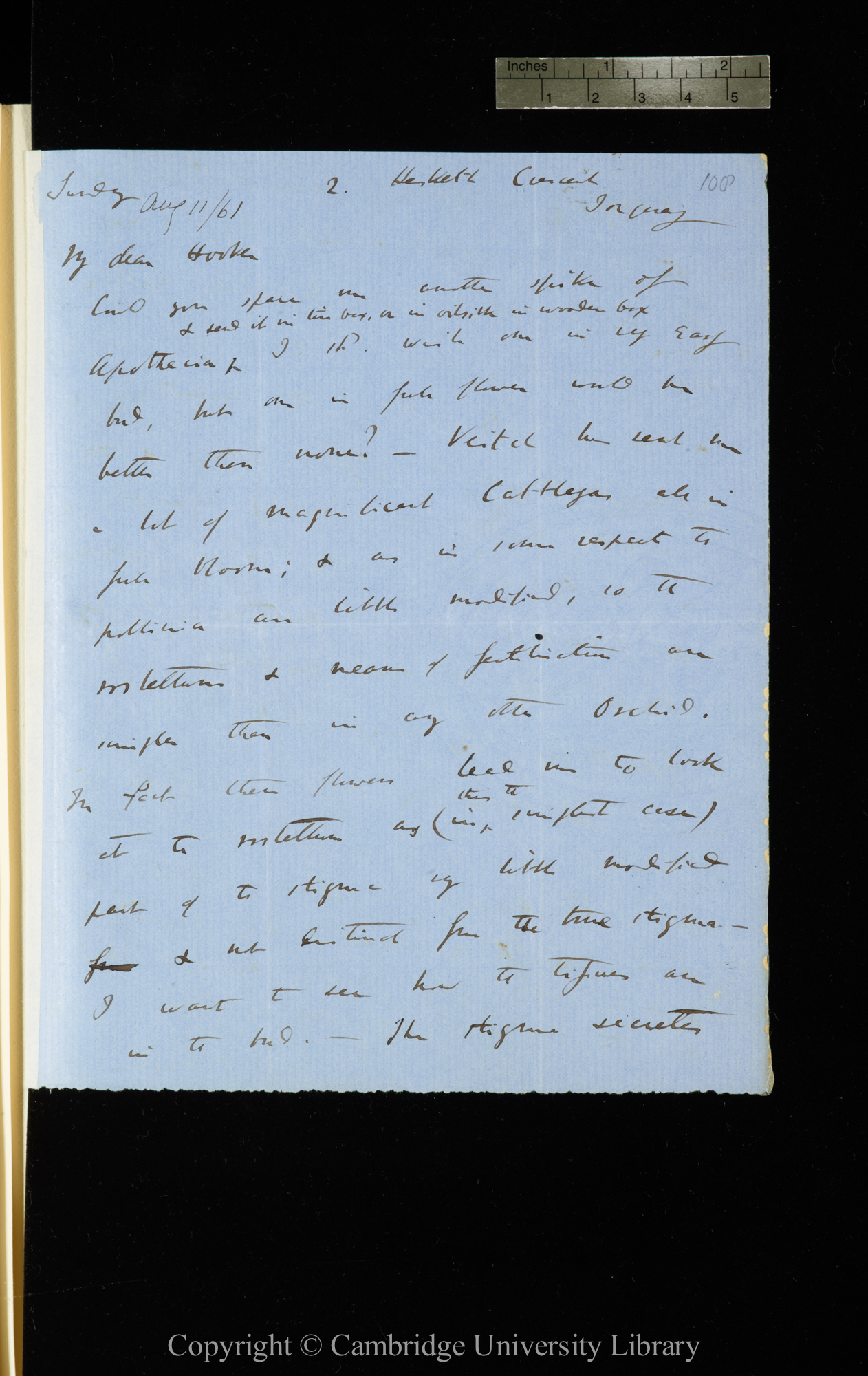 Letter from C. R. Darwin to J. D. Hooker   [11 August 1861]