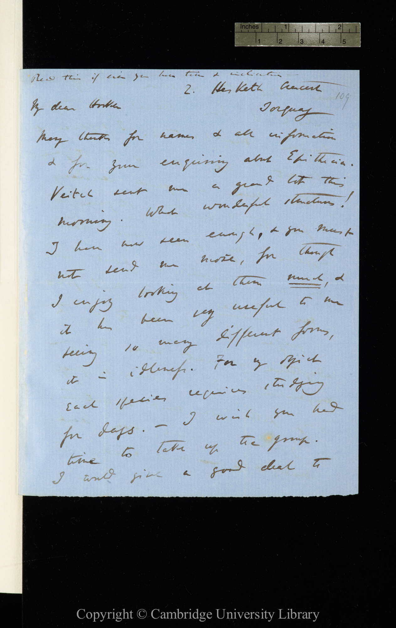 Letter from C. R. Darwin to J. D. Hooker   [28 July - 10 August 1861]