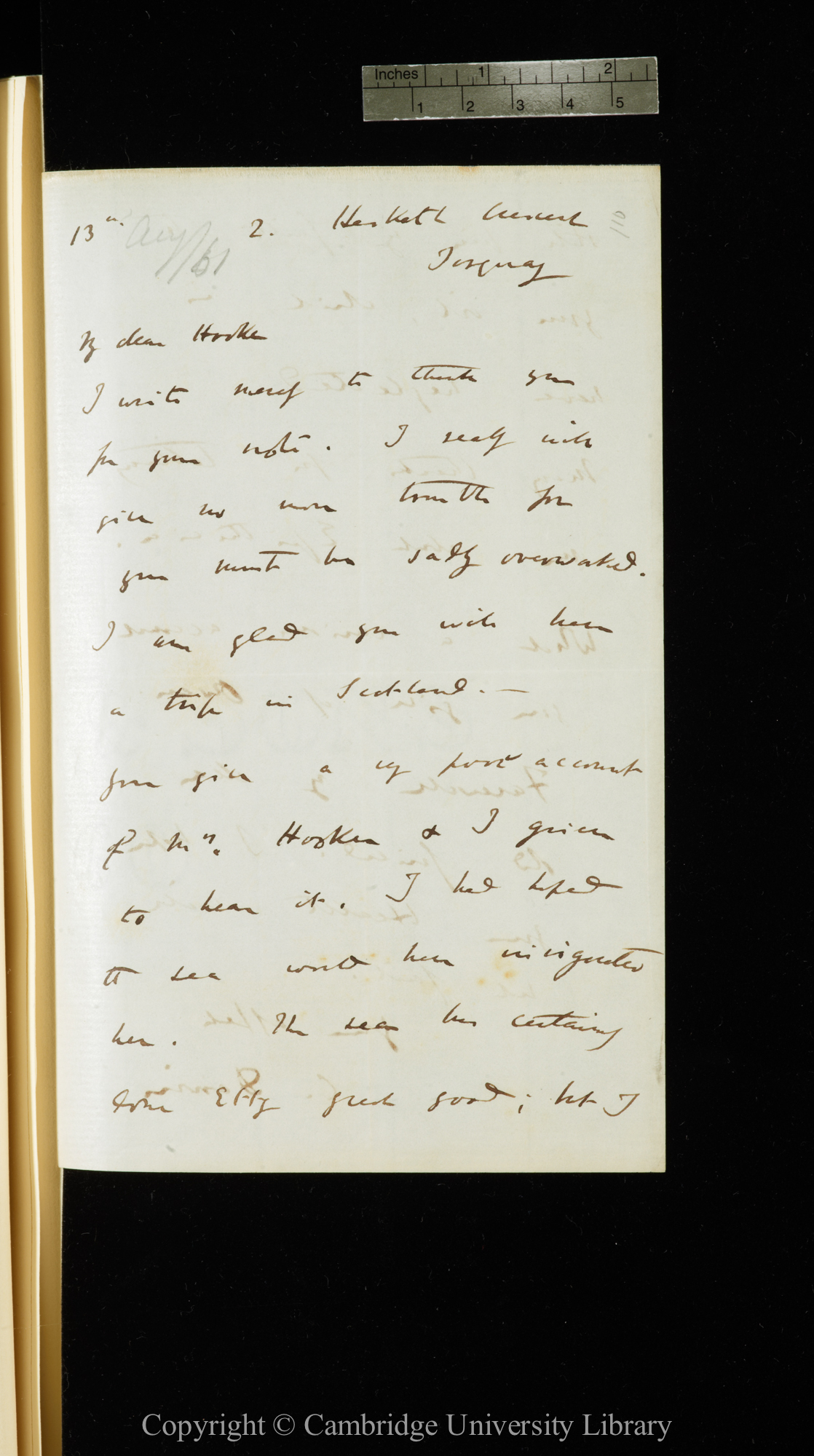 Letter from C. R. Darwin to J. D. Hooker   13 [August 1861]