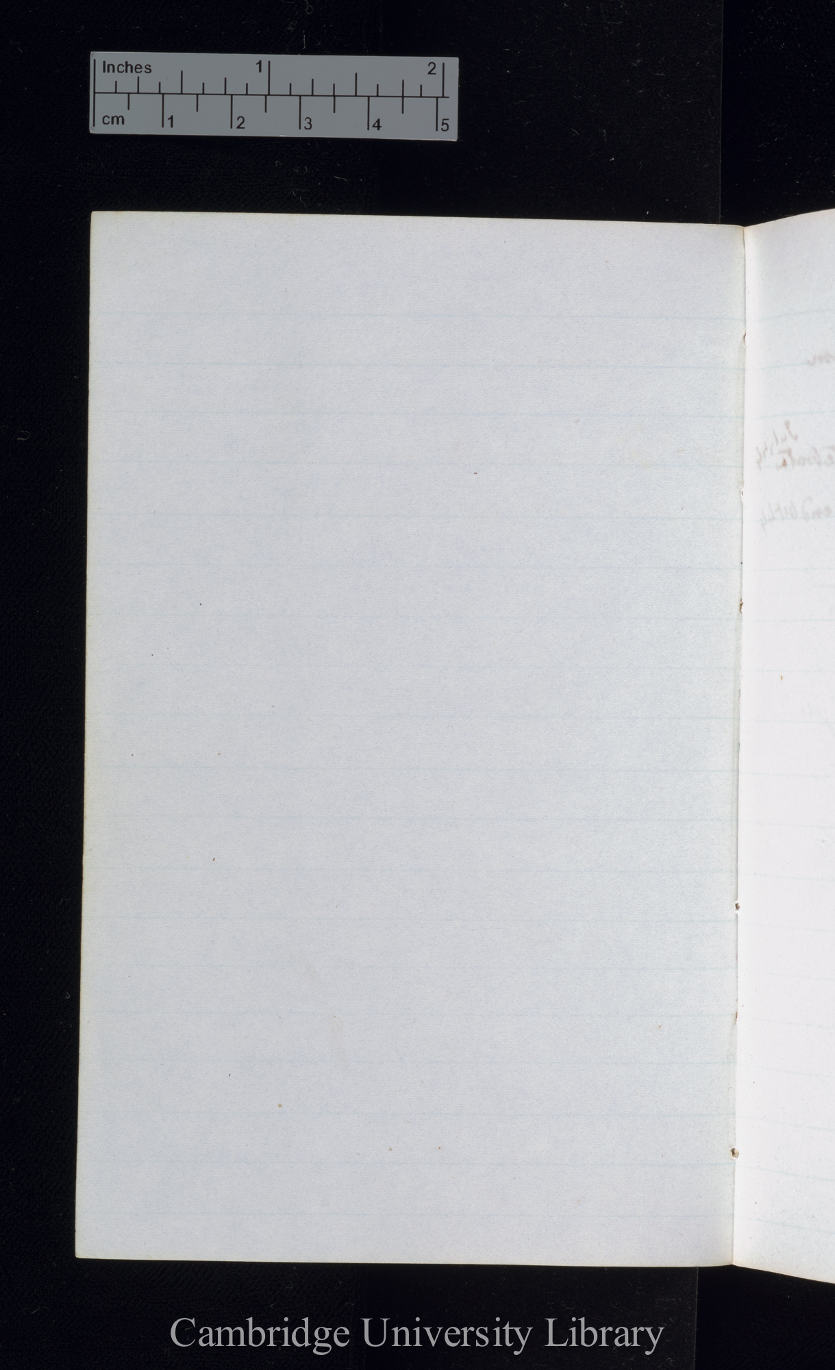 verso p 31 [blank]