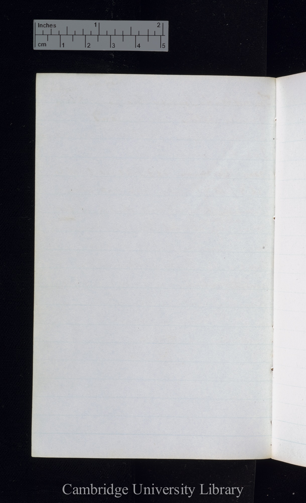 verso p 42 [blank]