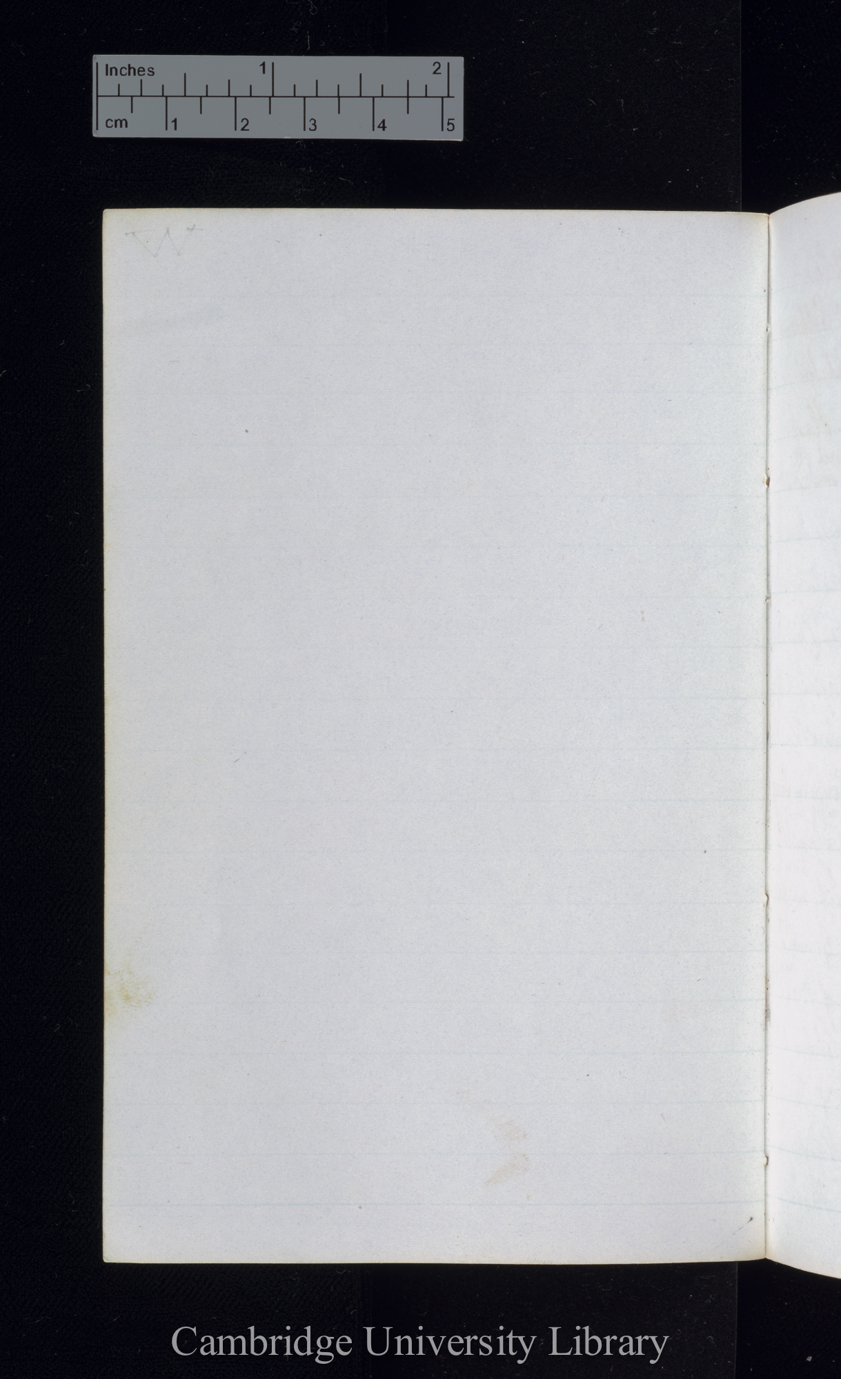 verso p 46 [blank]