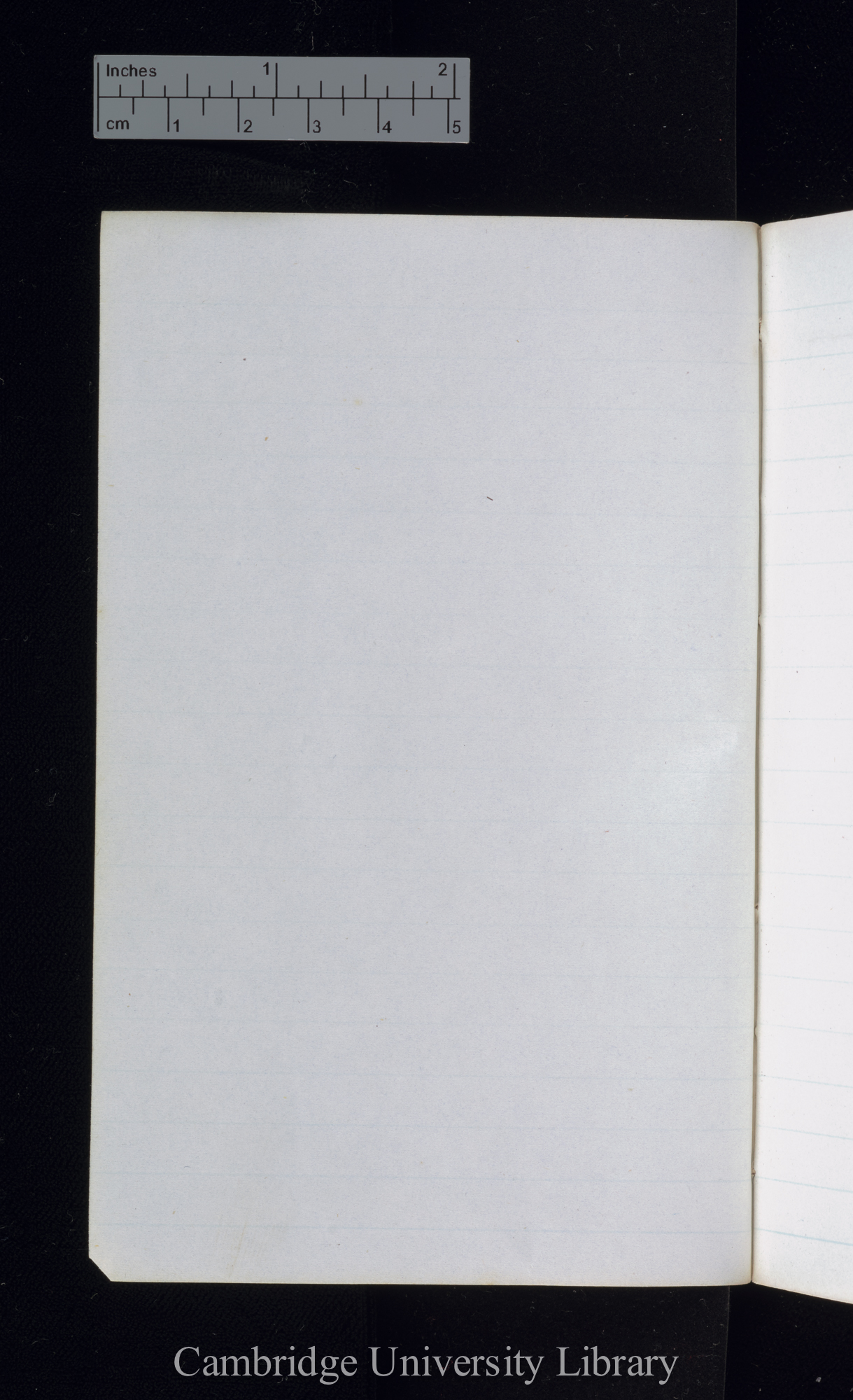 verso p 51 [blank]