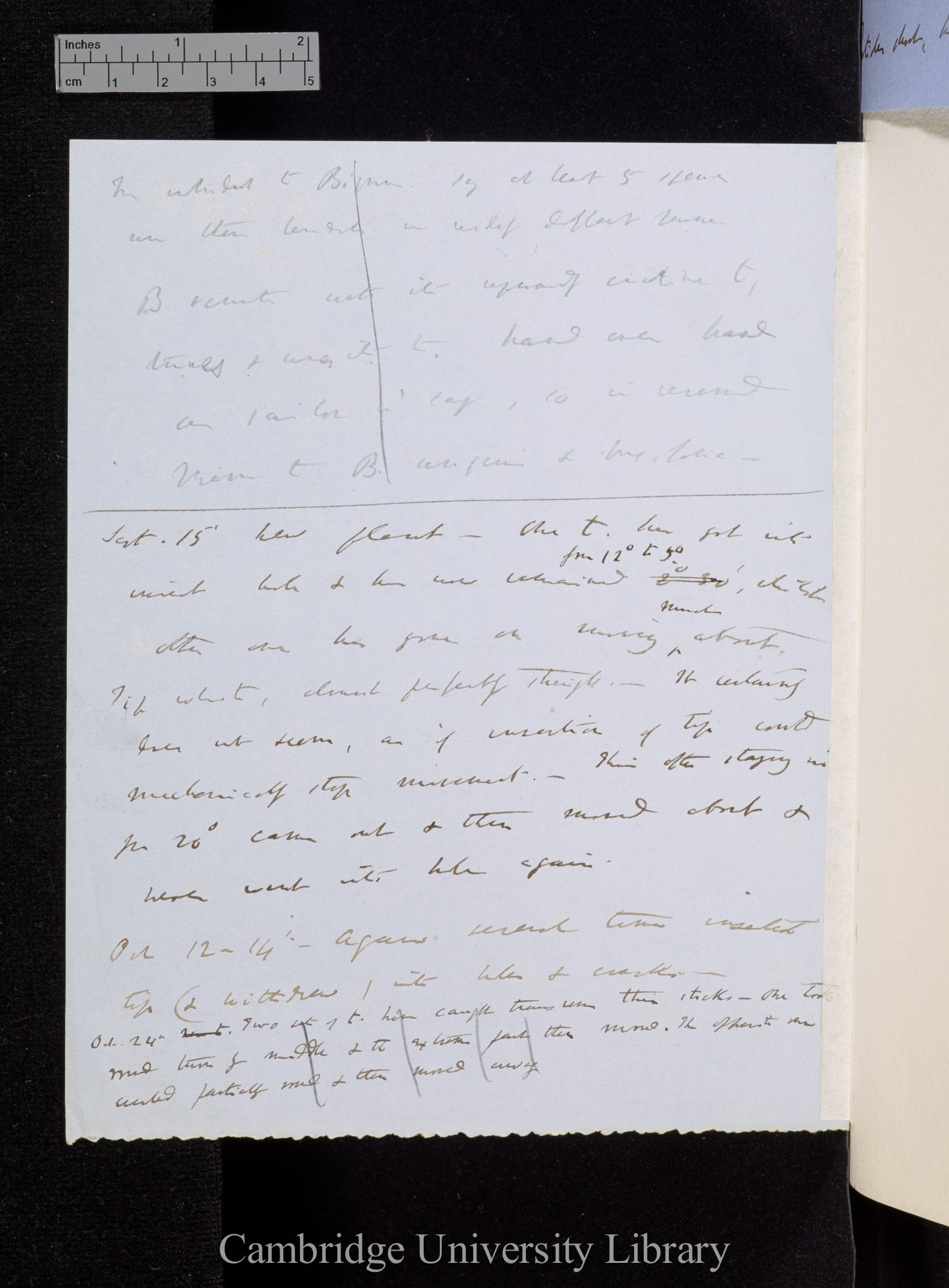 Note; by Charles Robert Darwin