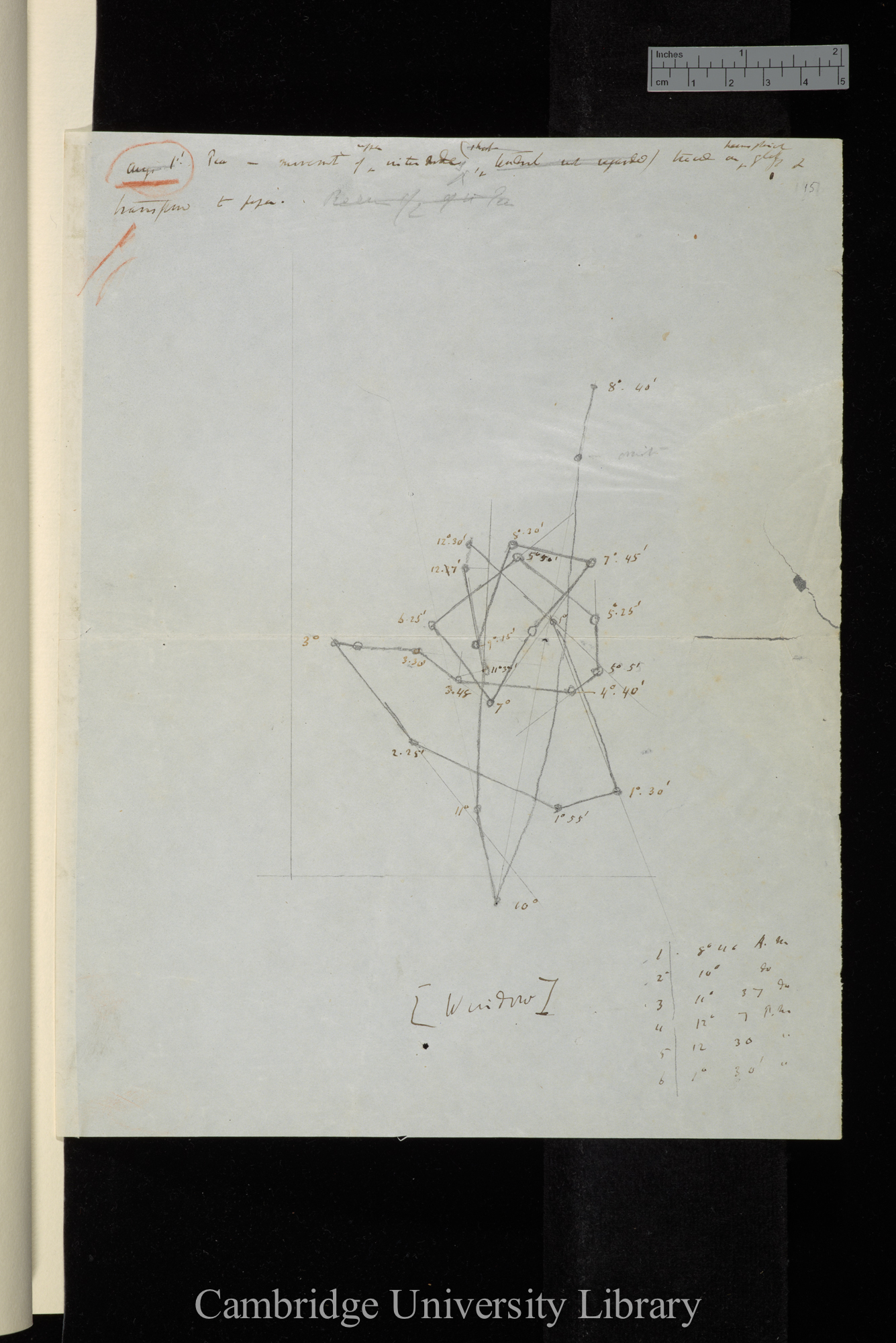 Pea - movement of upper internodes [diagram]