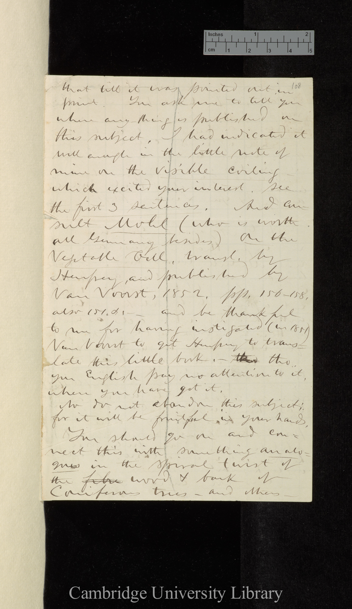 Asa Gray to Charles Robert Darwin