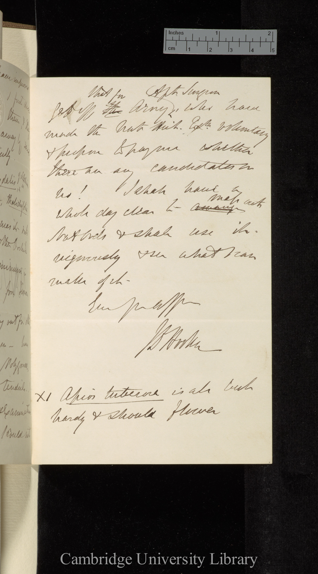 Sir Joseph Dalton Hooker to Charles Robert Darwin