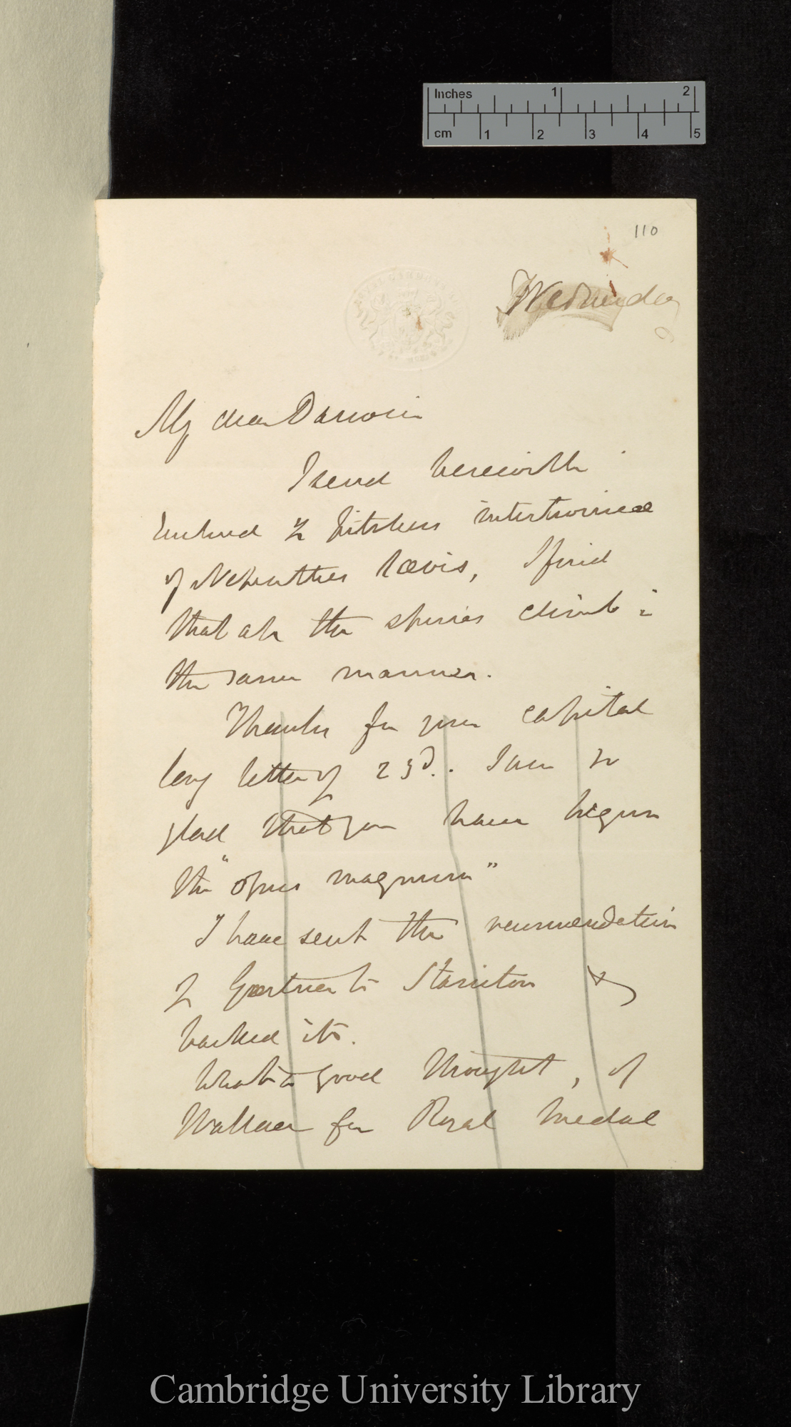 Sir Joseph Dalton Hooker to Charles Robert Darwin