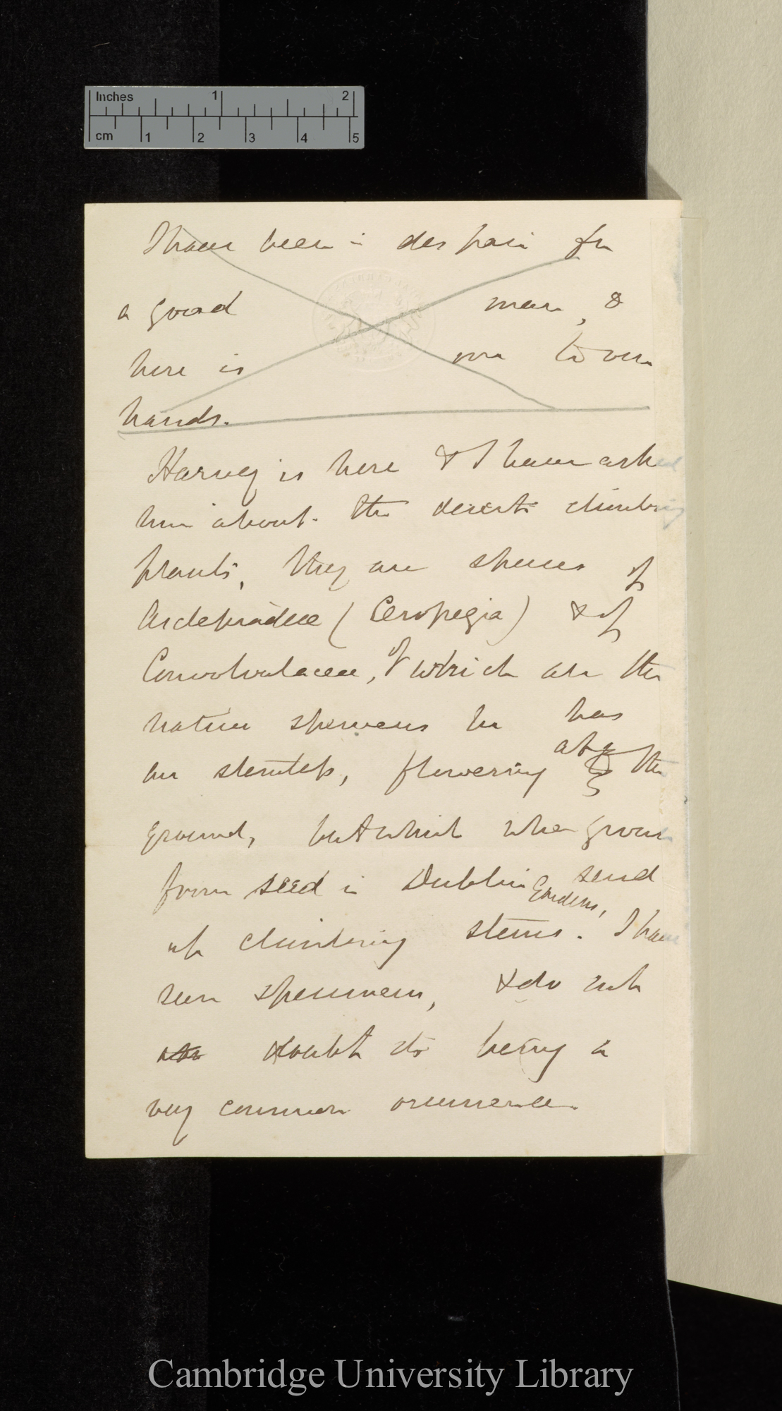 Sir Joseph Dalton Hooker to Charles Robert Darwin