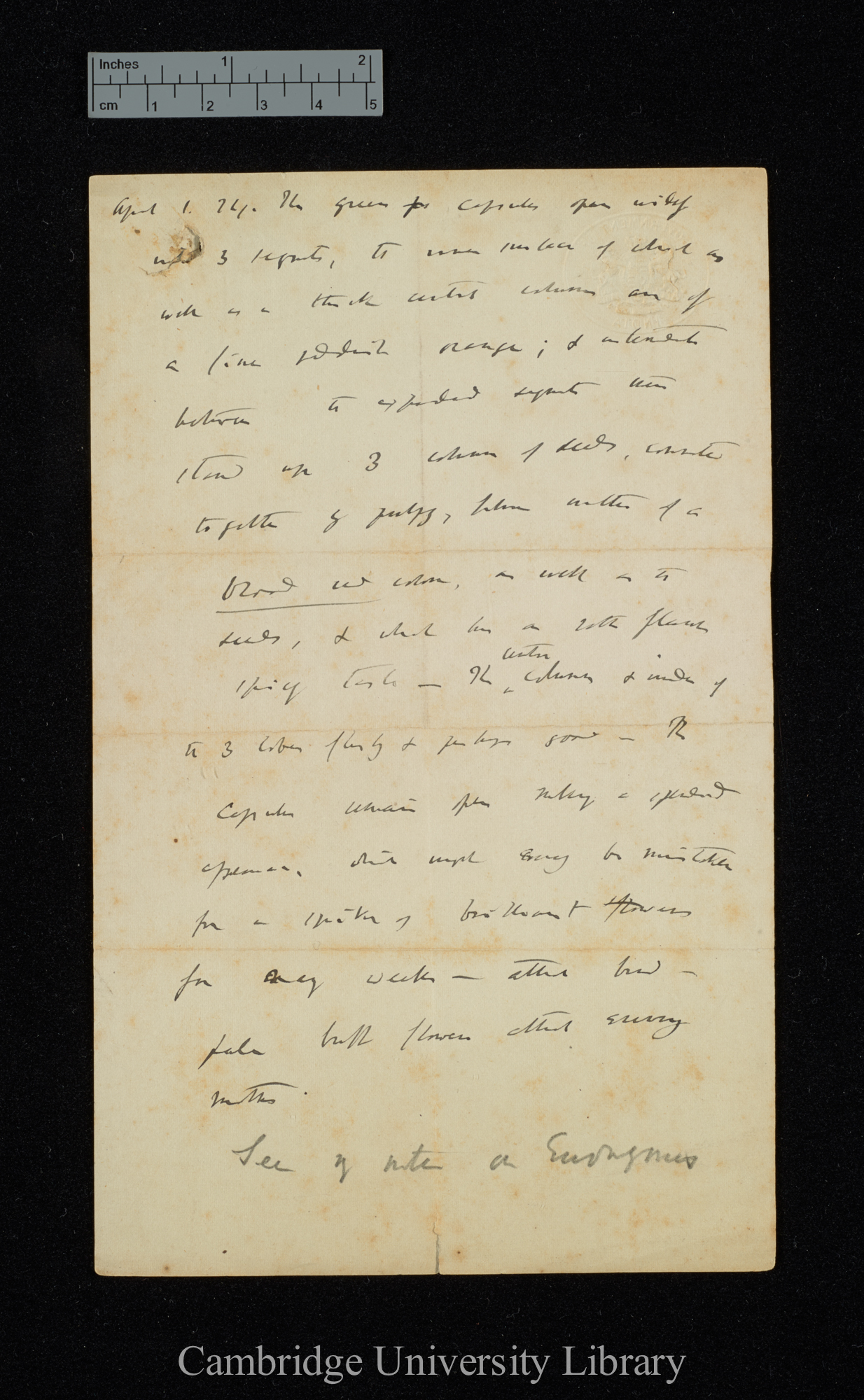 Note by CD on reverse of letter, James Alexander Gammie to Charles Robert Darwin