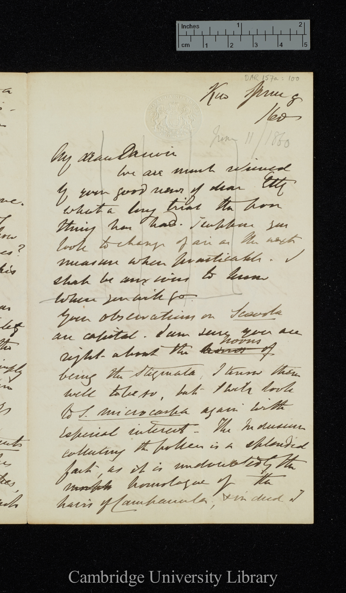 Sir Joseph Dalton Hooker to Charles Robert Darwin